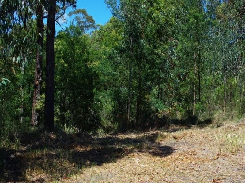 Lot 21 Bermagui-Cobargo Road Bermagui NSW, Bermagui - Thumbnail 7