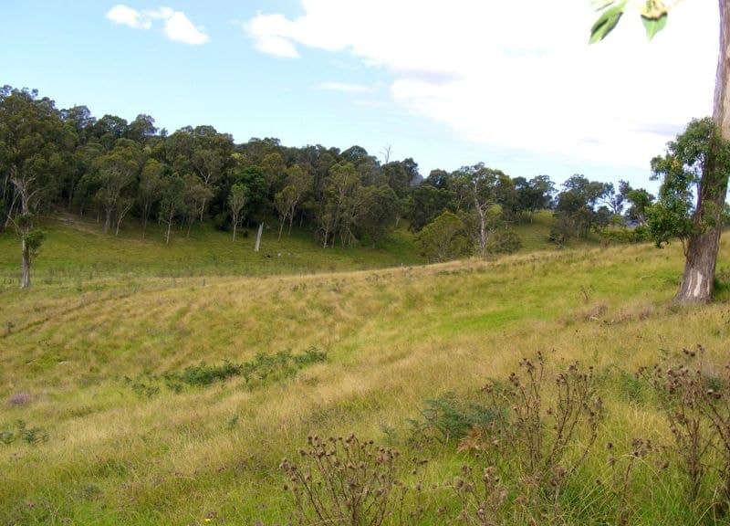 675 Angledale Road, Angledale, Angledale - Image 1