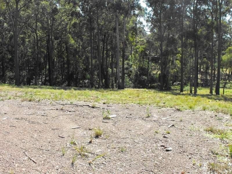 Lot 34 Ochre Lane Millingandi NSW, Millingandi - Thumbnail 4