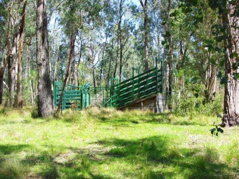 11562 Princes Highway, Quaama, Quaama - Thumbnail 8