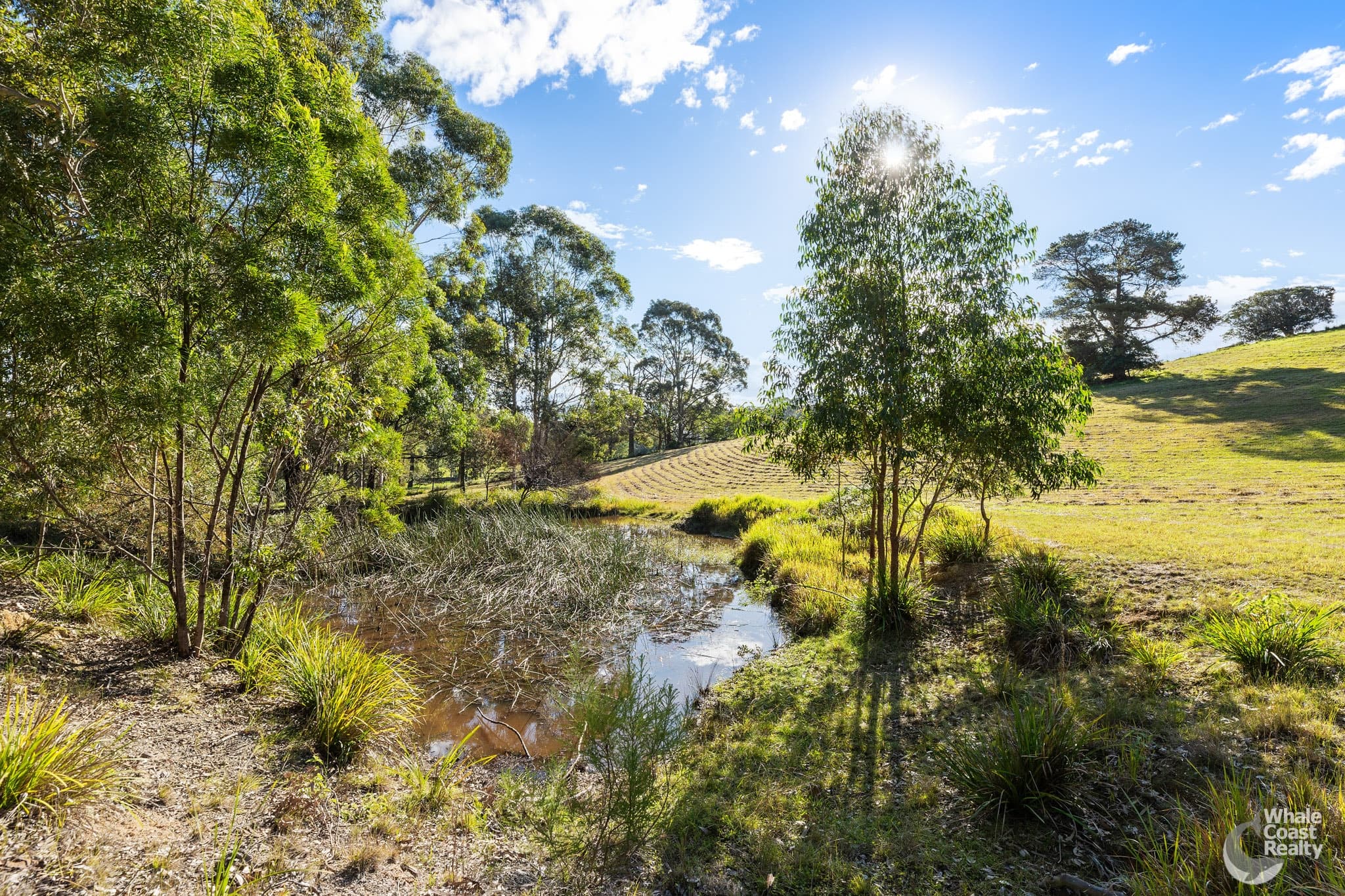 28 Old South Coast Road, Narooma, Narooma - Thumbnail 3