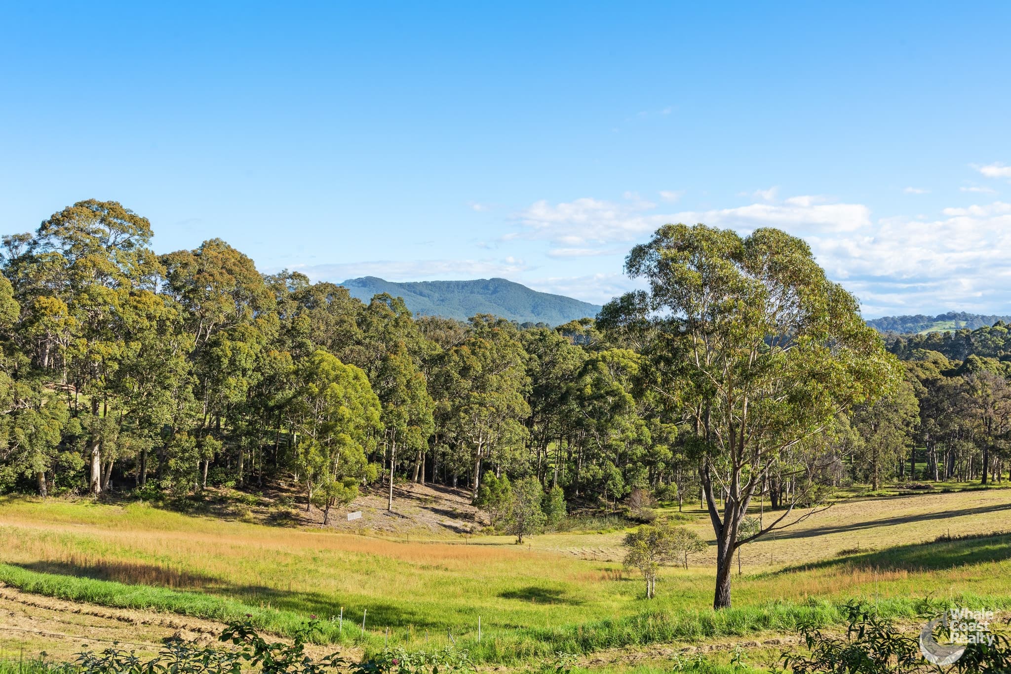 28 Old South Coast Road, Narooma, Narooma - Thumbnail 4