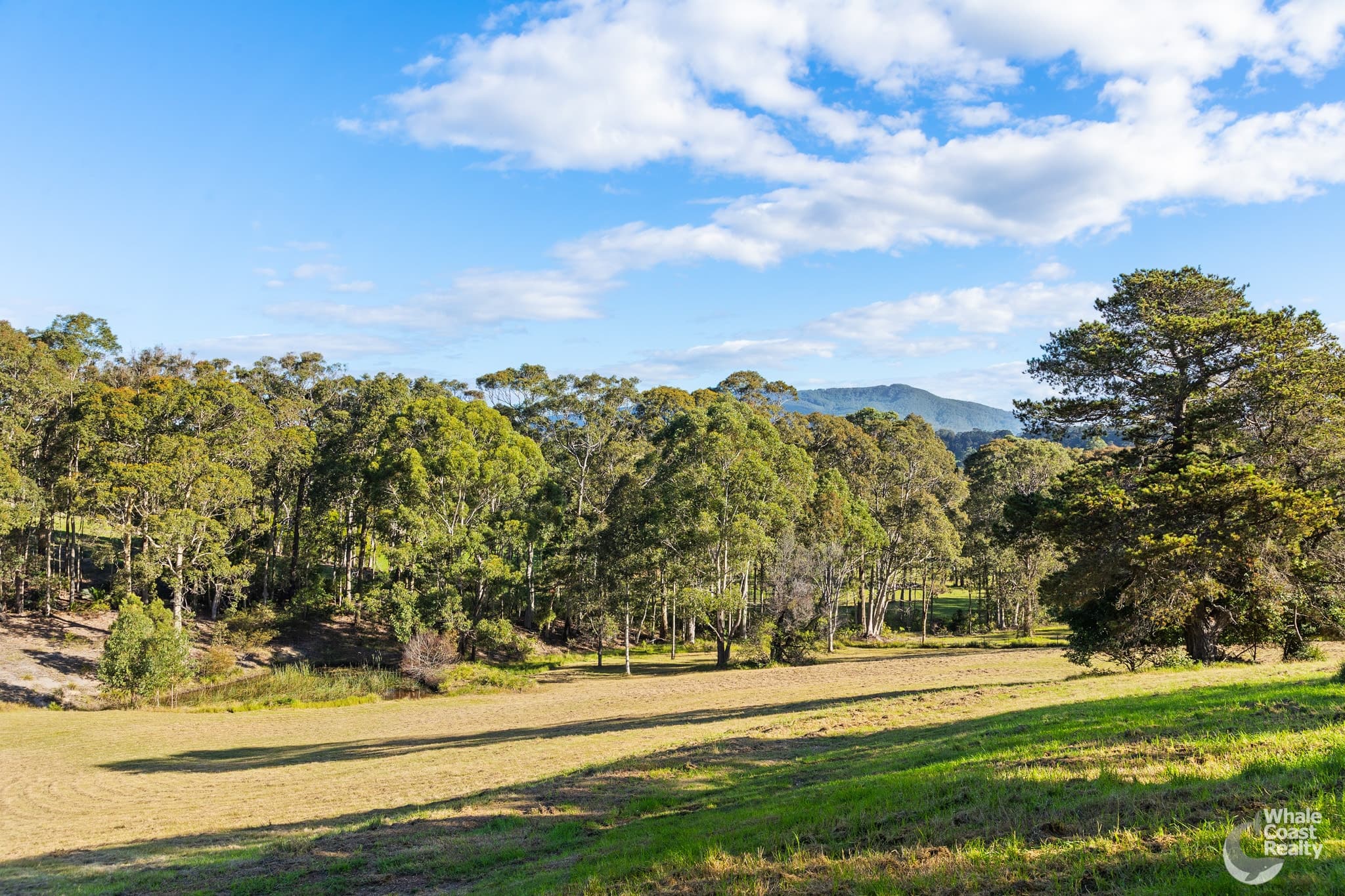 28 Old South Coast Road, Narooma, Narooma - Thumbnail 6