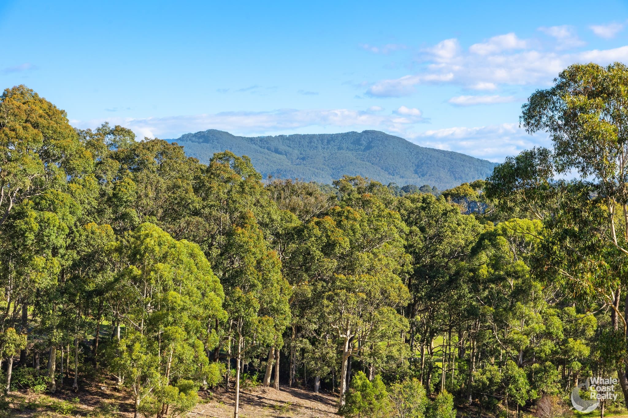 28 Old South Coast Road, Narooma, Narooma - Thumbnail 7