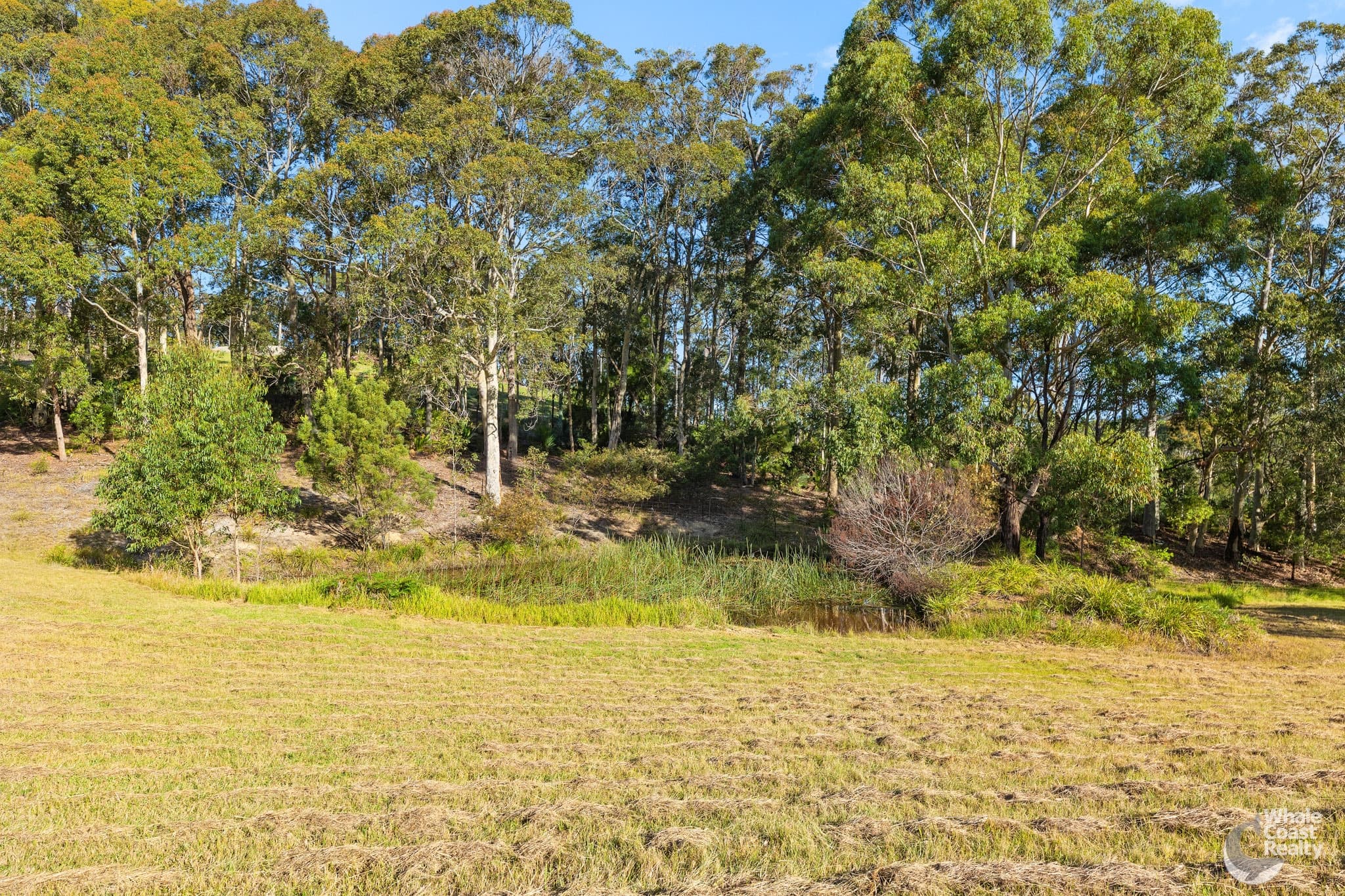 28 Old South Coast Road, Narooma, Narooma - Thumbnail 8