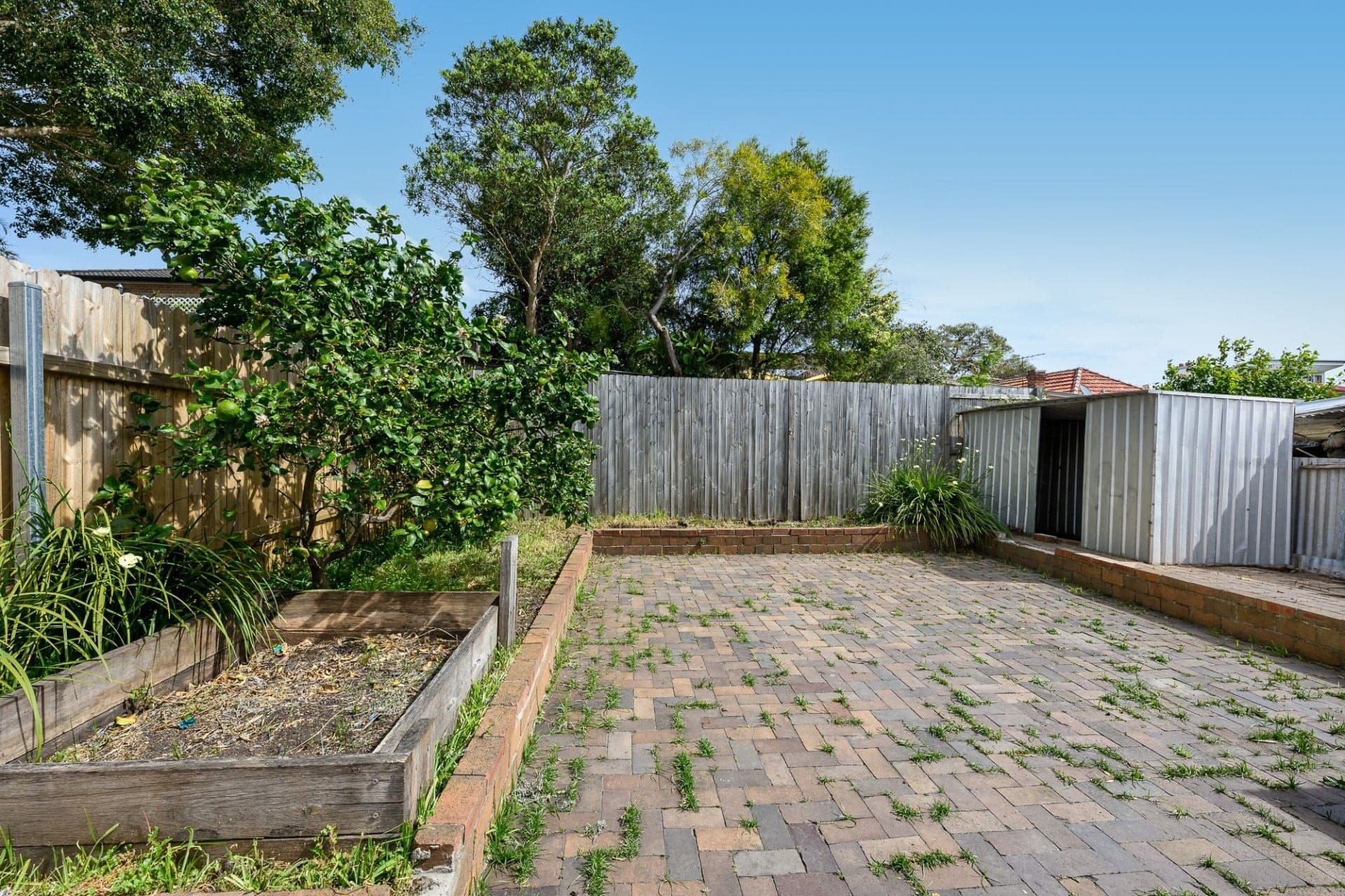 22 Premier Street Marrickville NSW, Marrickville - Thumbnail 4