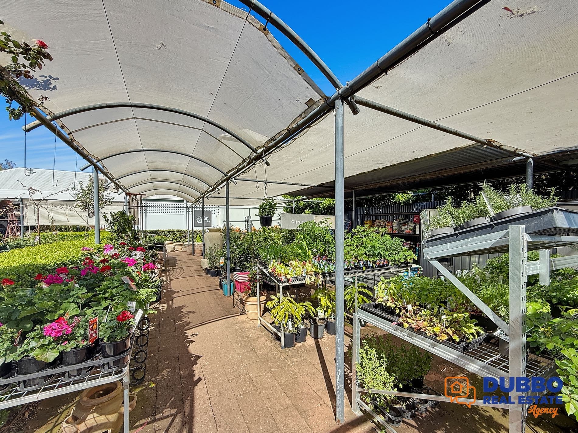 , Dubbo NSW, Dubbo - Thumbnail 6