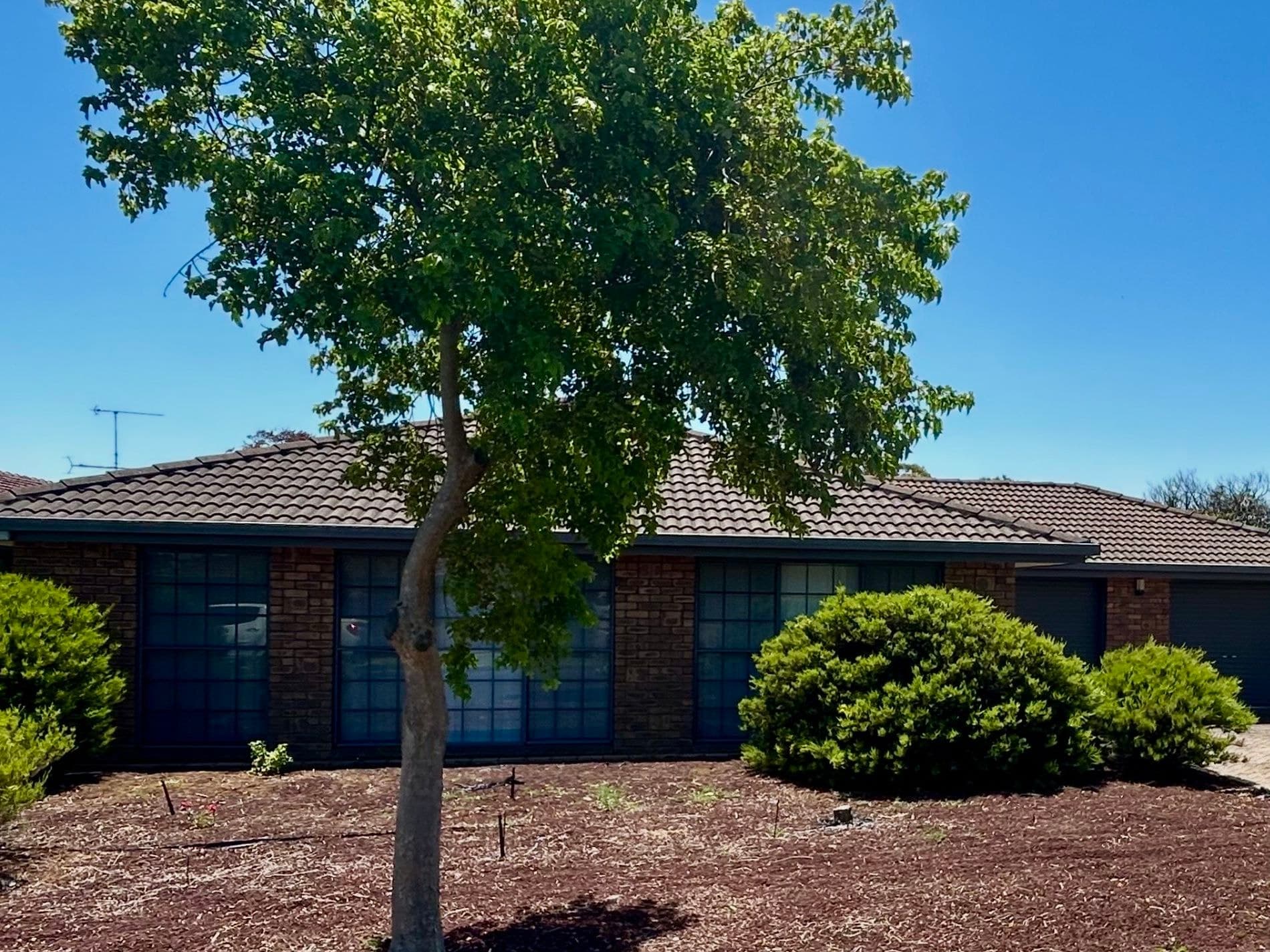 4 Berrigan Court, Mount Gambier, Mount Gambier - Thumbnail 3