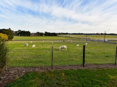 6167 Glenelg Highway, GLENBURNIE, Glenburnie - Thumbnail 6
