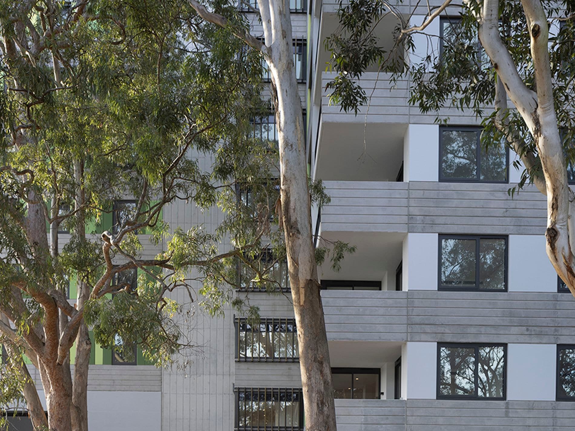 Sold!, MACQUARIE PARK, Macquarie Park - Thumbnail 8