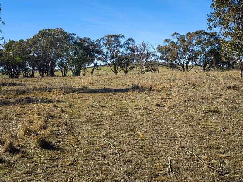 Lot 192 & 253 Yewrangara Street, Bigga, ... - Thumbnail 4
