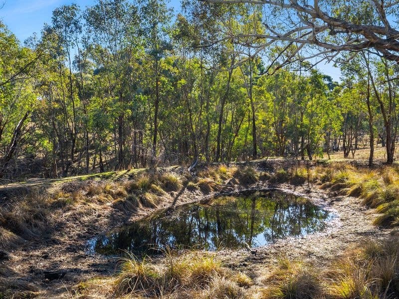 Lot 192 & 253 Yewrangara Street, Bigga, ... - Thumbnail 6