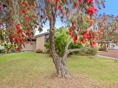 14 William Street, Finley, Finley - Image 1