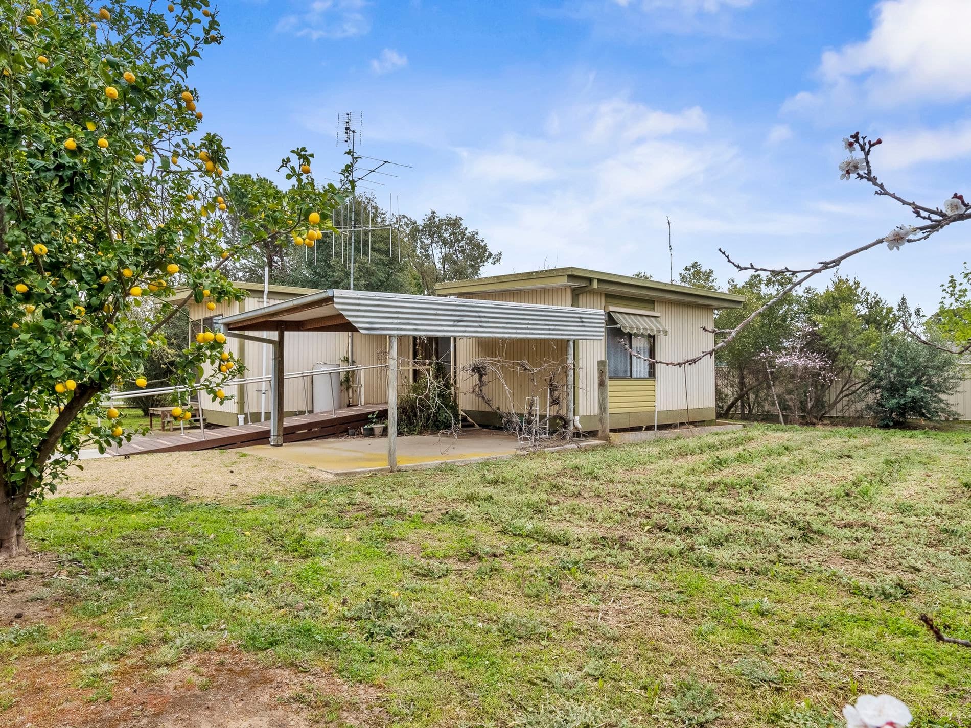 13 Sugden Street, Tocumwal, Tocumwal - Thumbnail 8