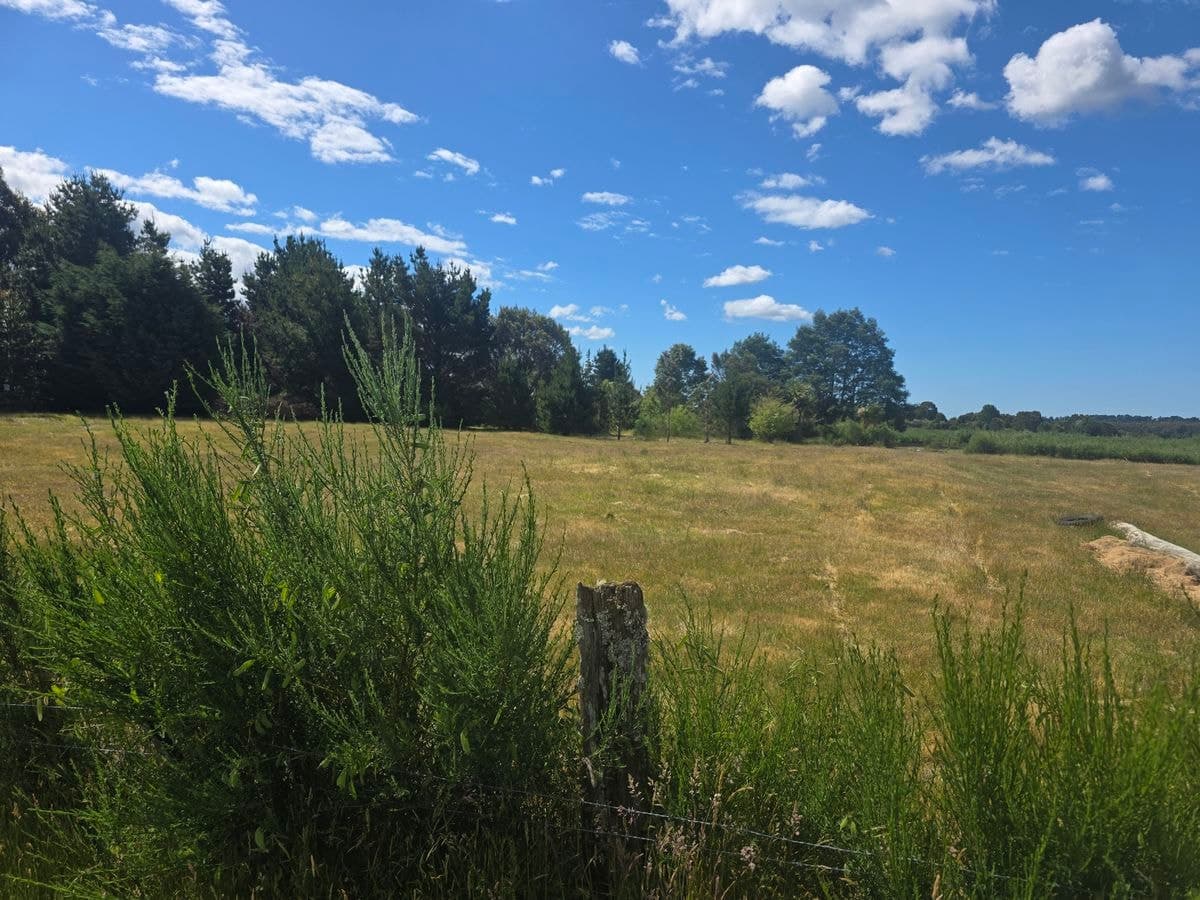 Lot Title: 96005/3, 652A Waratah..., 652a Waratah... - Thumbnail 6