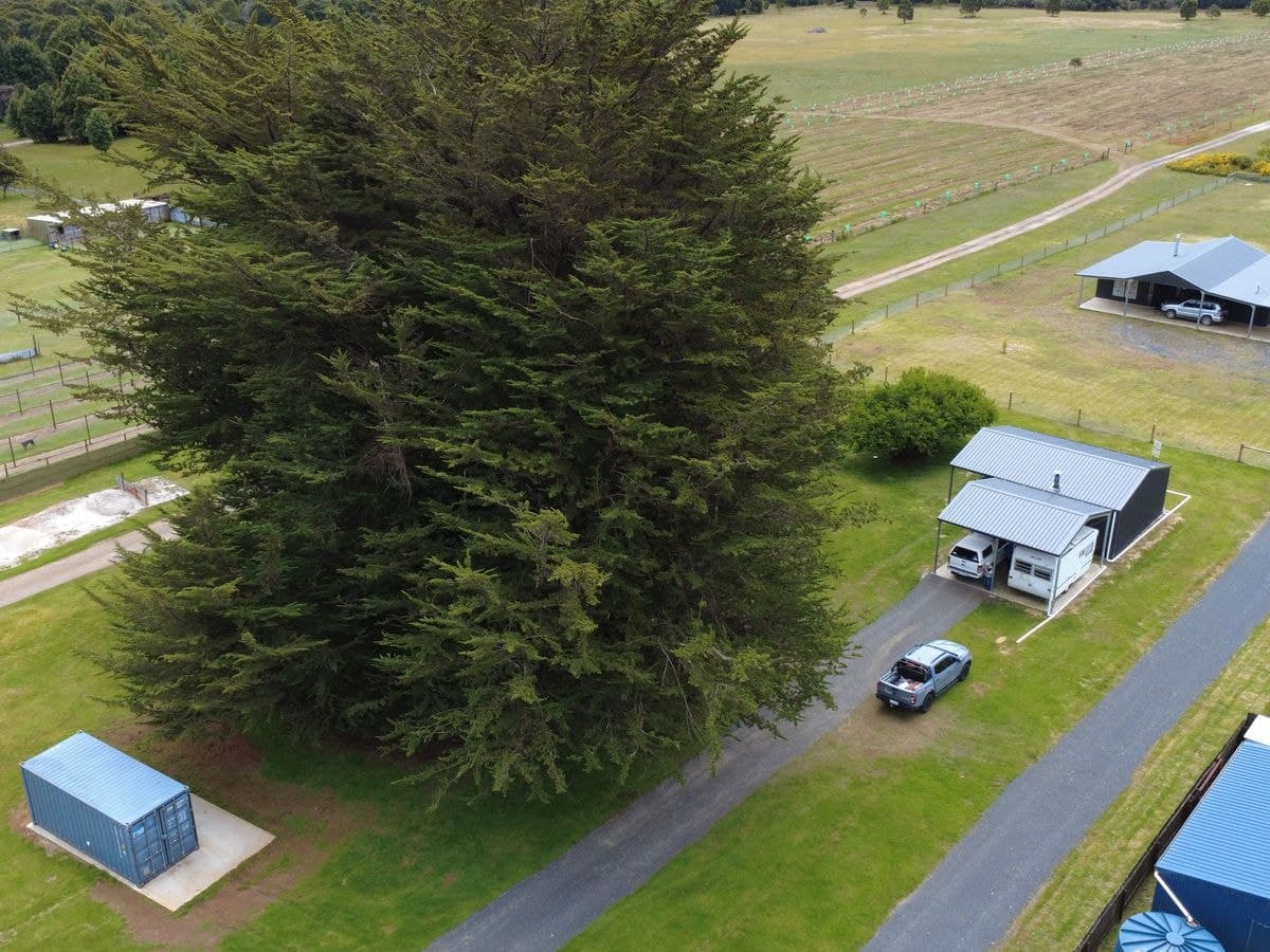 664 Waratah Road, Waratah, Waratah - Thumbnail 3