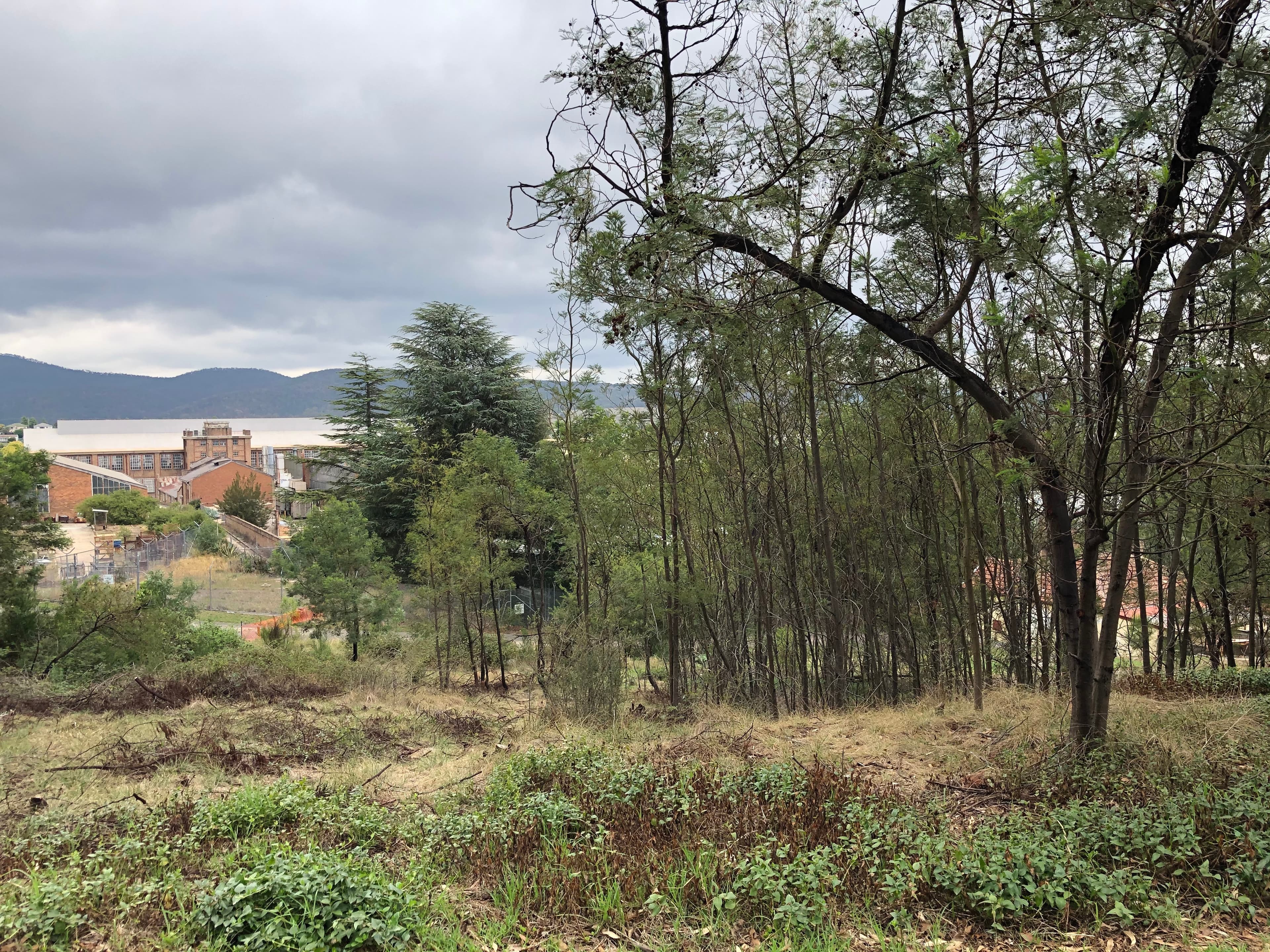 88 Wrights Road, Lithgow, Lithgow - Image 1
