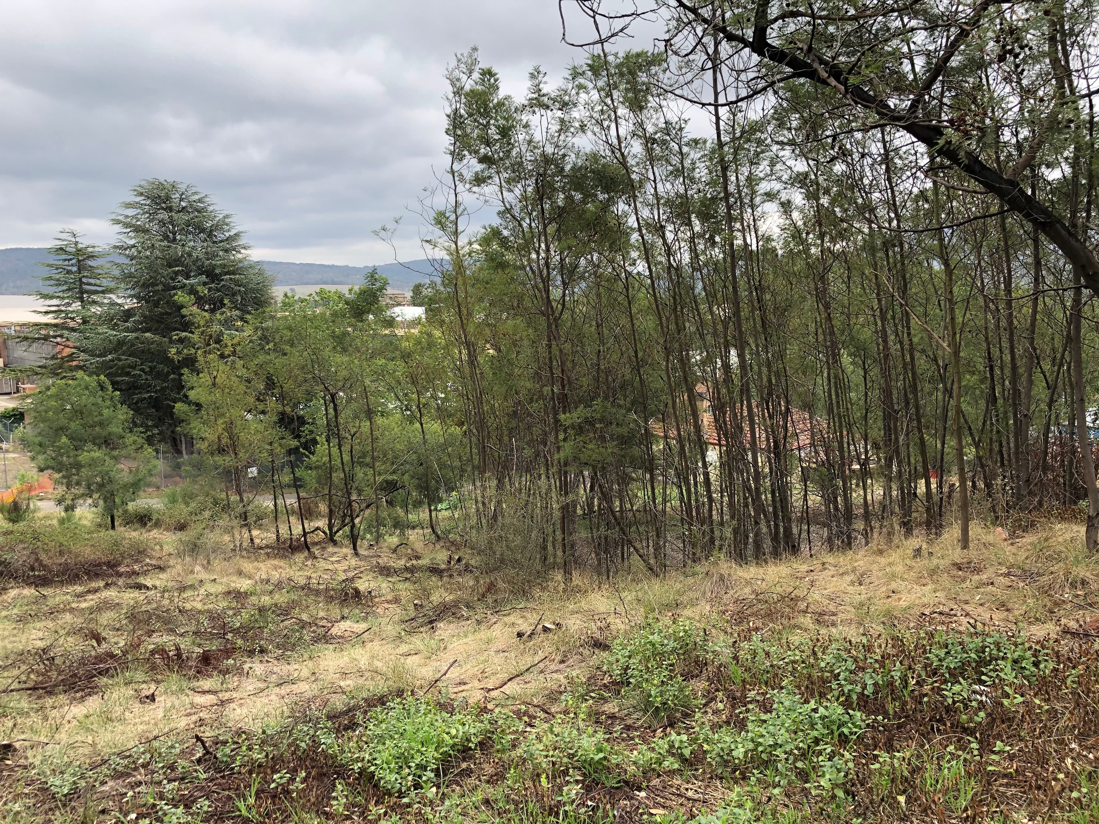 88 Wrights Road, Lithgow, Lithgow - Thumbnail 3
