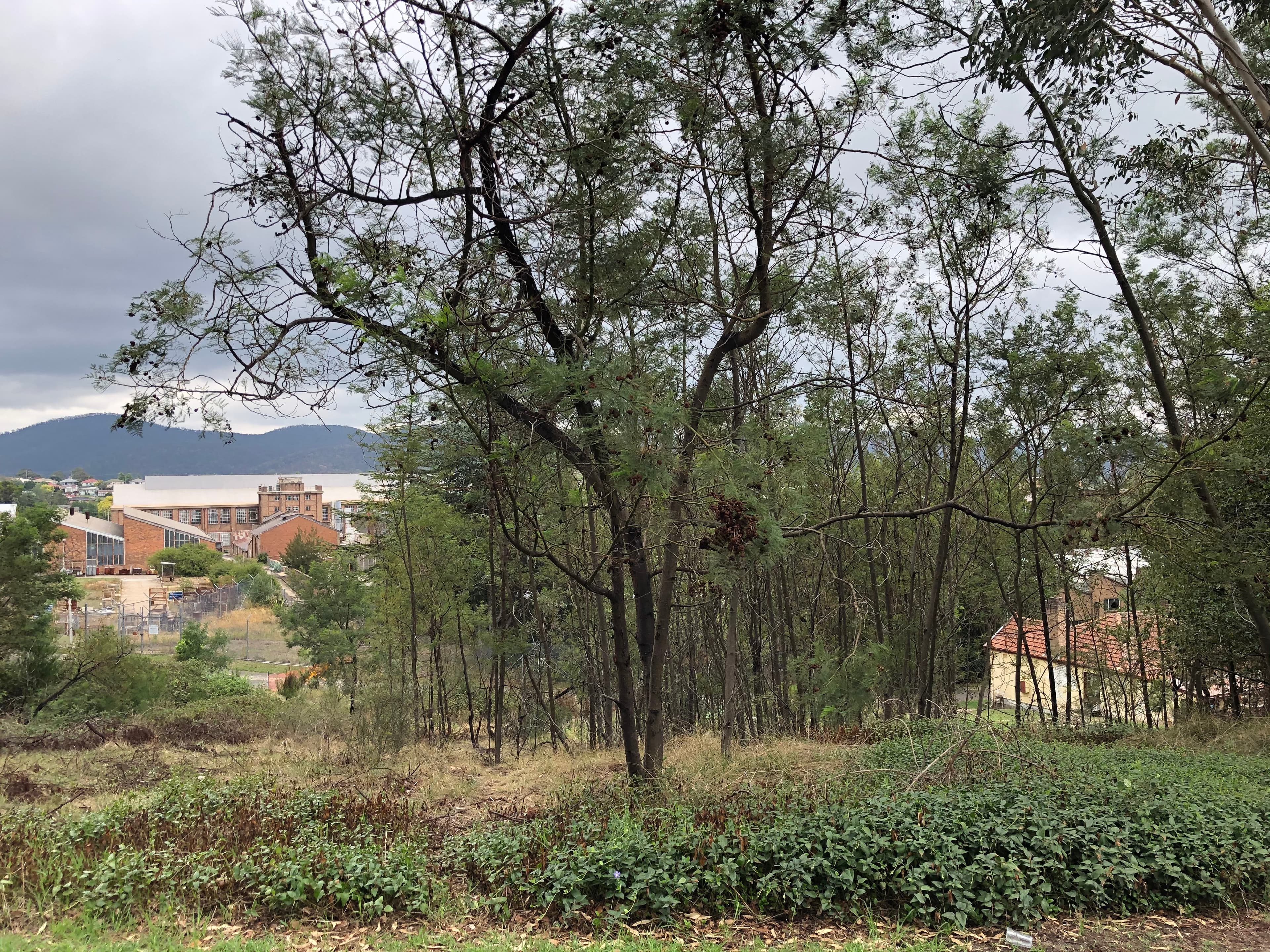 88 Wrights Road, Lithgow, Lithgow - Thumbnail 4