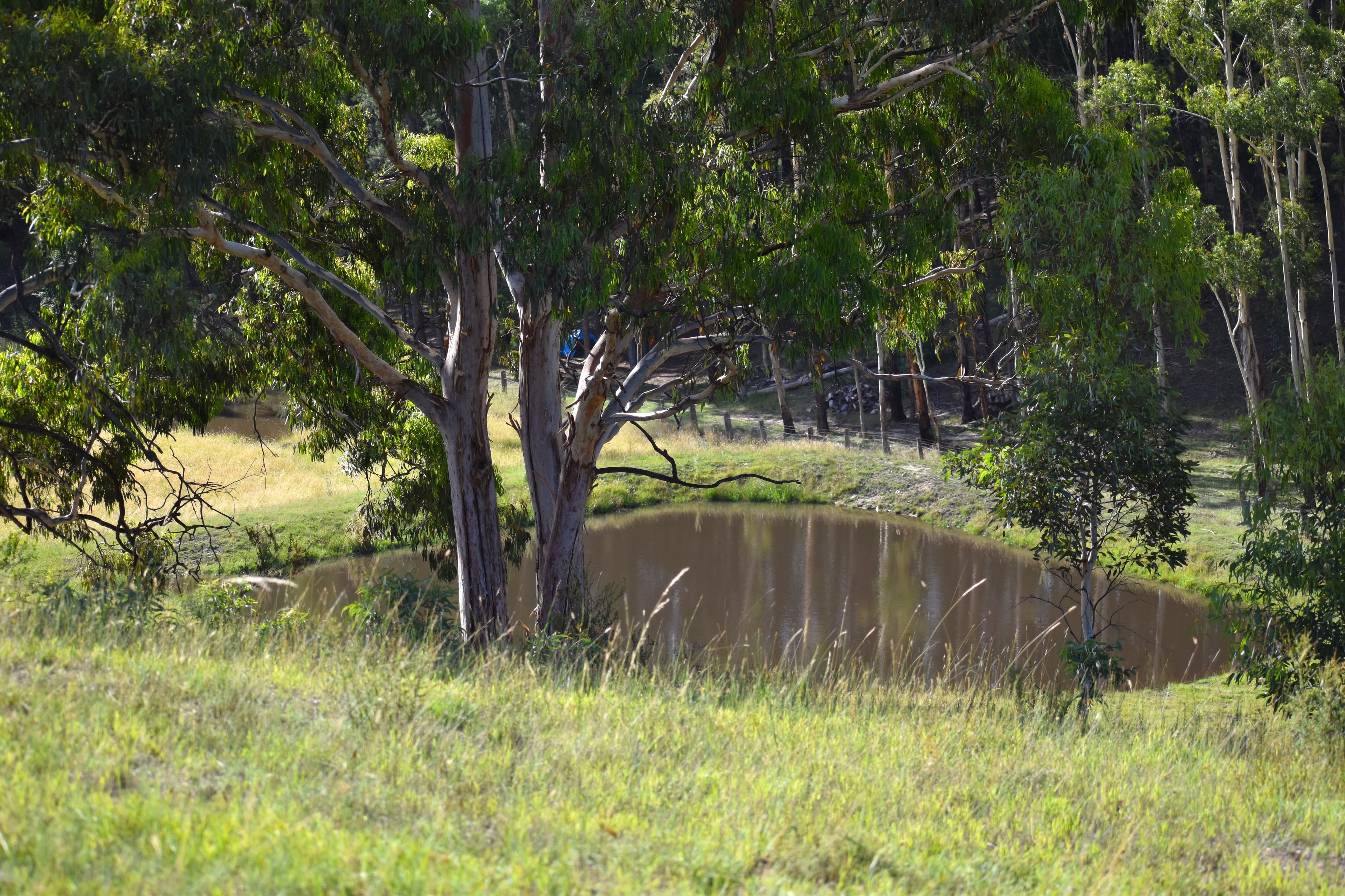 Lot 102-112, 112 Coxs River Road..., 112 Coxs River Road... - Thumbnail 2