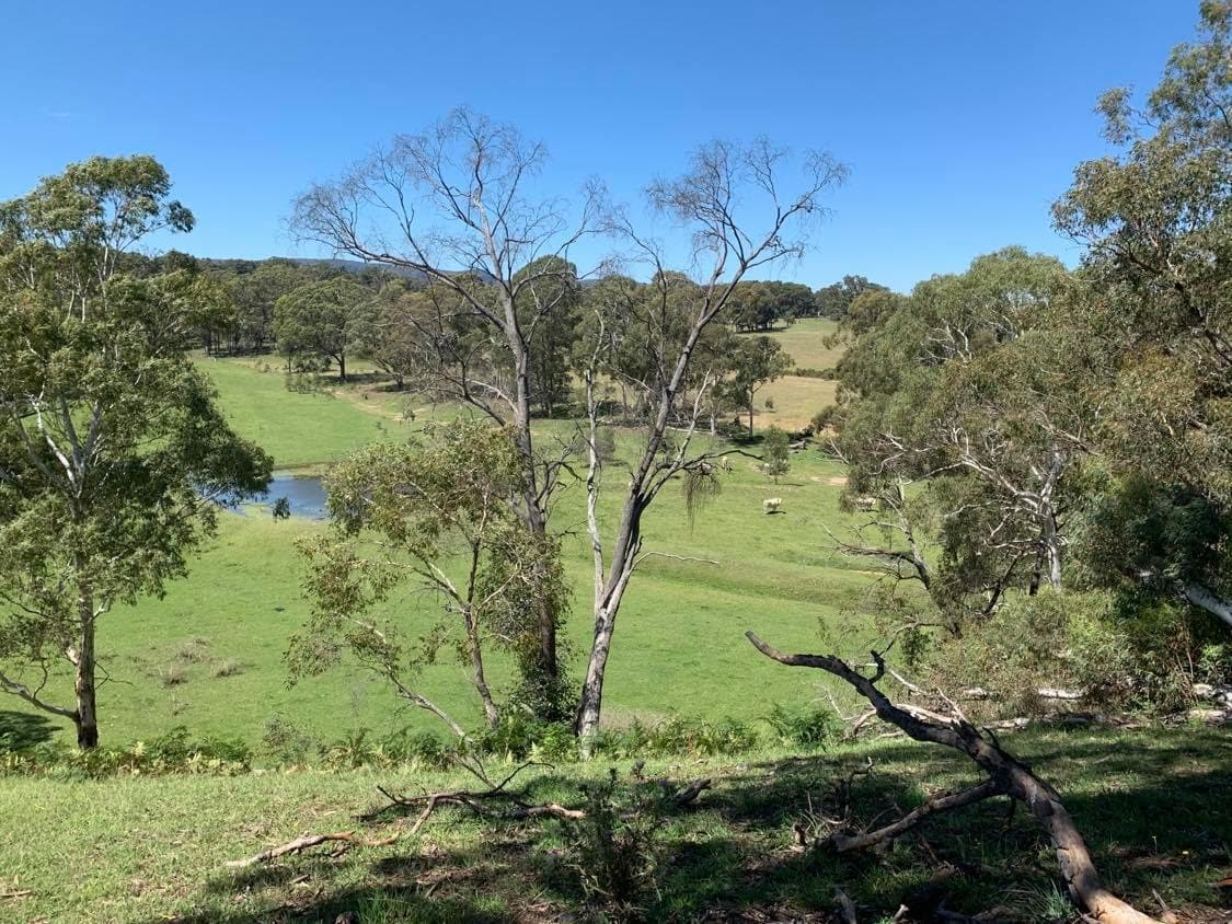 423 Coxs River Road, Kanimbla, Kanimbla - Thumbnail 2