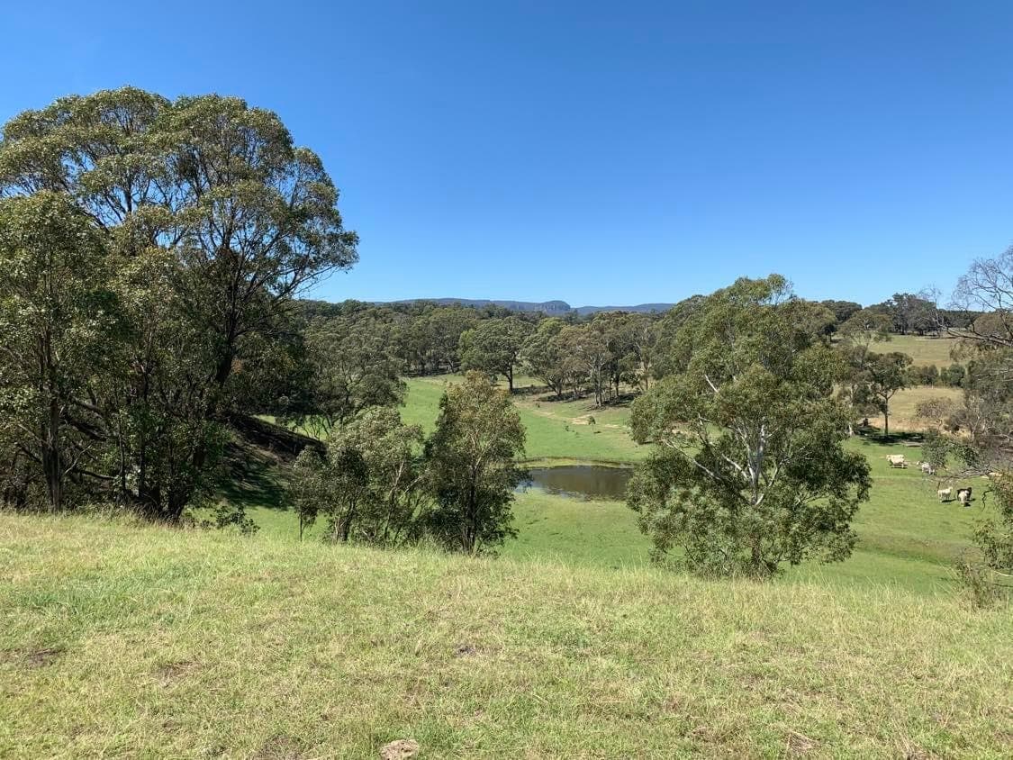 423 Coxs River Road, Kanimbla, Kanimbla - Thumbnail 3