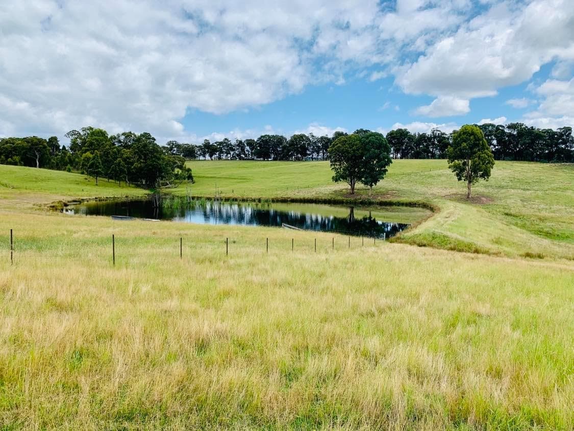 71 Blaxland Road, Kanimbla, Kanimbla - Thumbnail 5