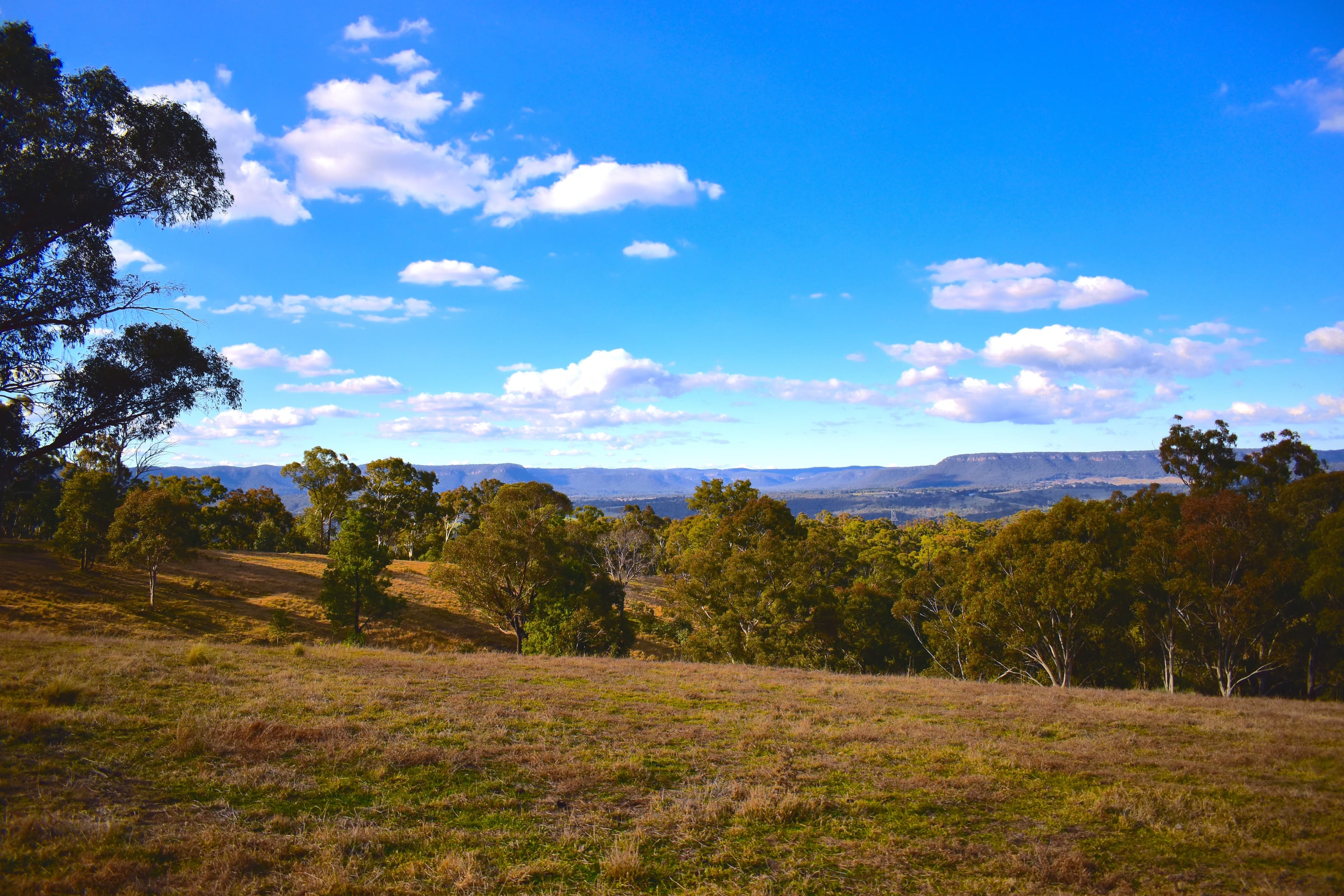 783 JENOLAN CAVES ROAD, Good Forest, Good Forest - Image 1
