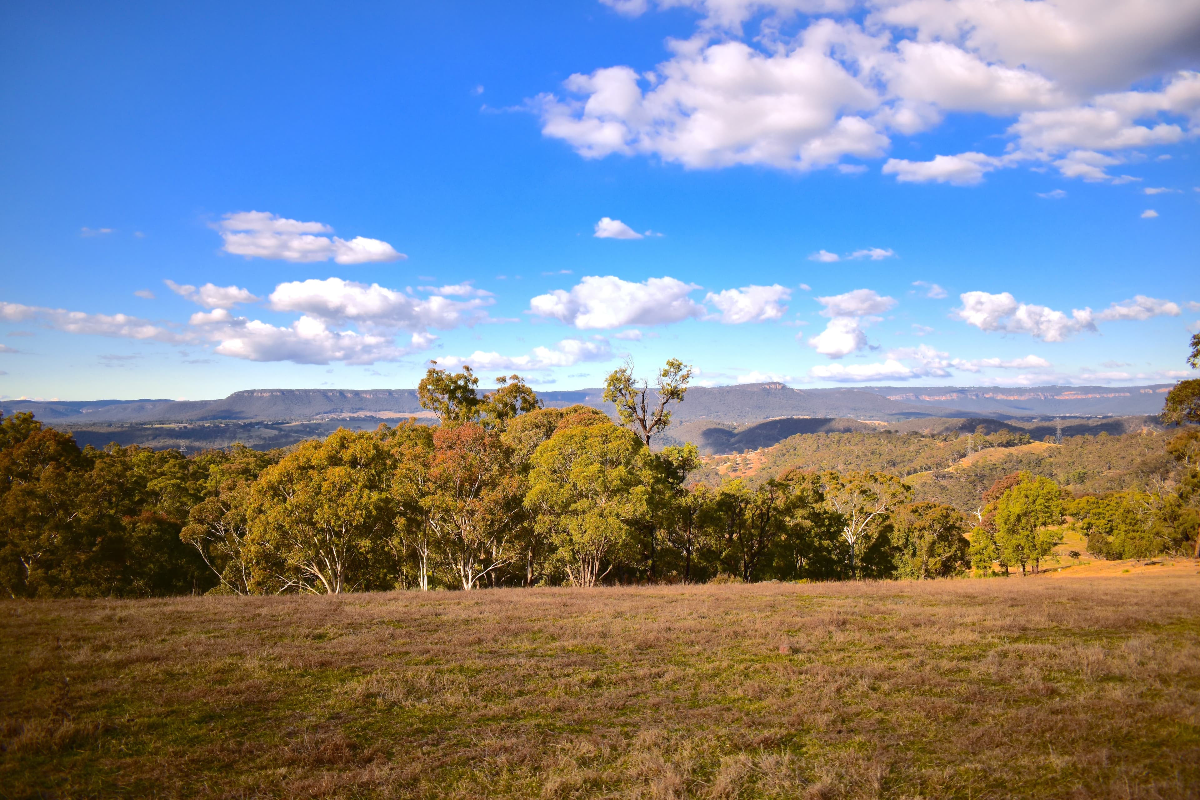 783 JENOLAN CAVES ROAD, Good Forest, Good Forest - Thumbnail 3