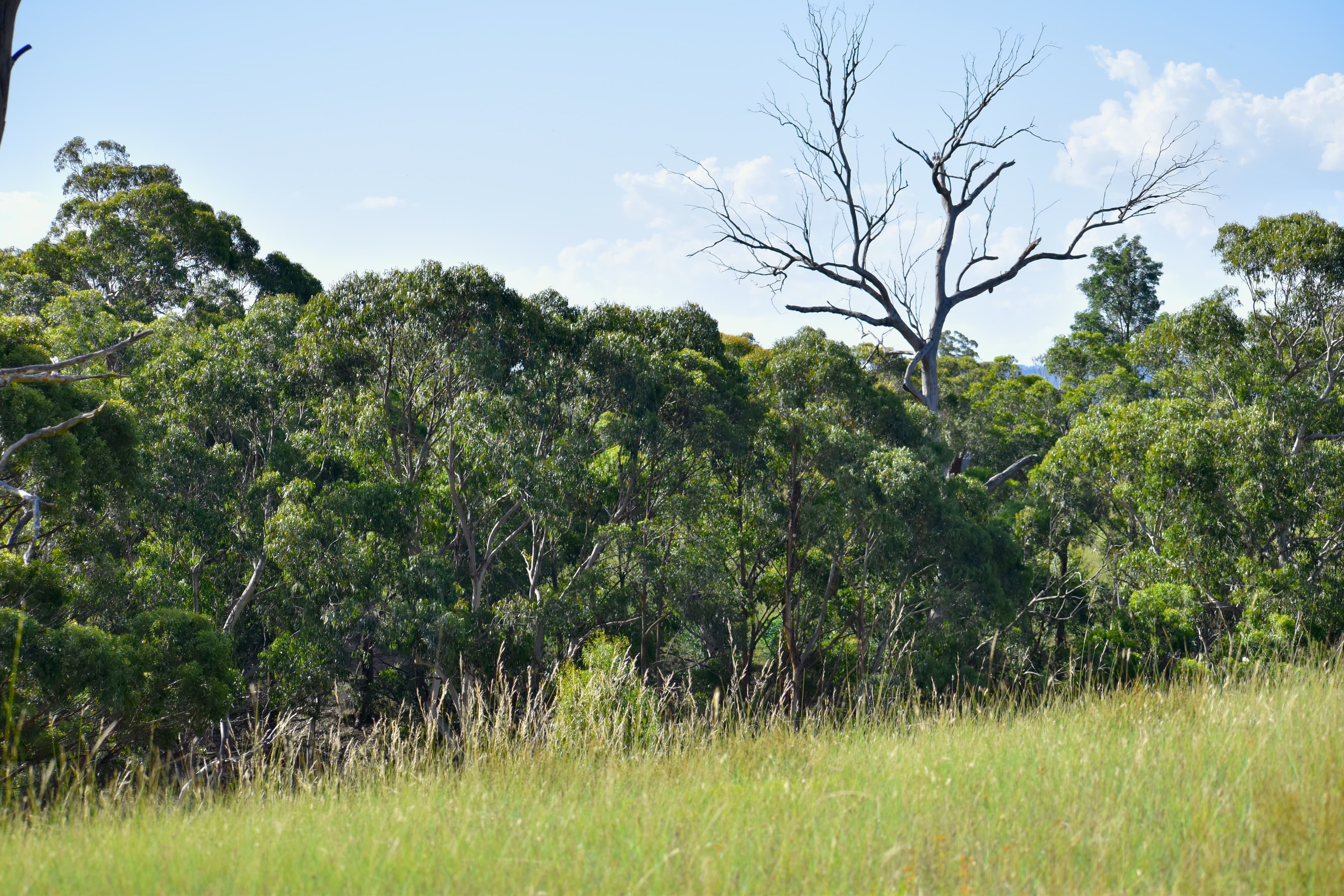 Lot 111, 11 LEATHEM PLACE, Little Hartley, Littl... - Thumbnail 3