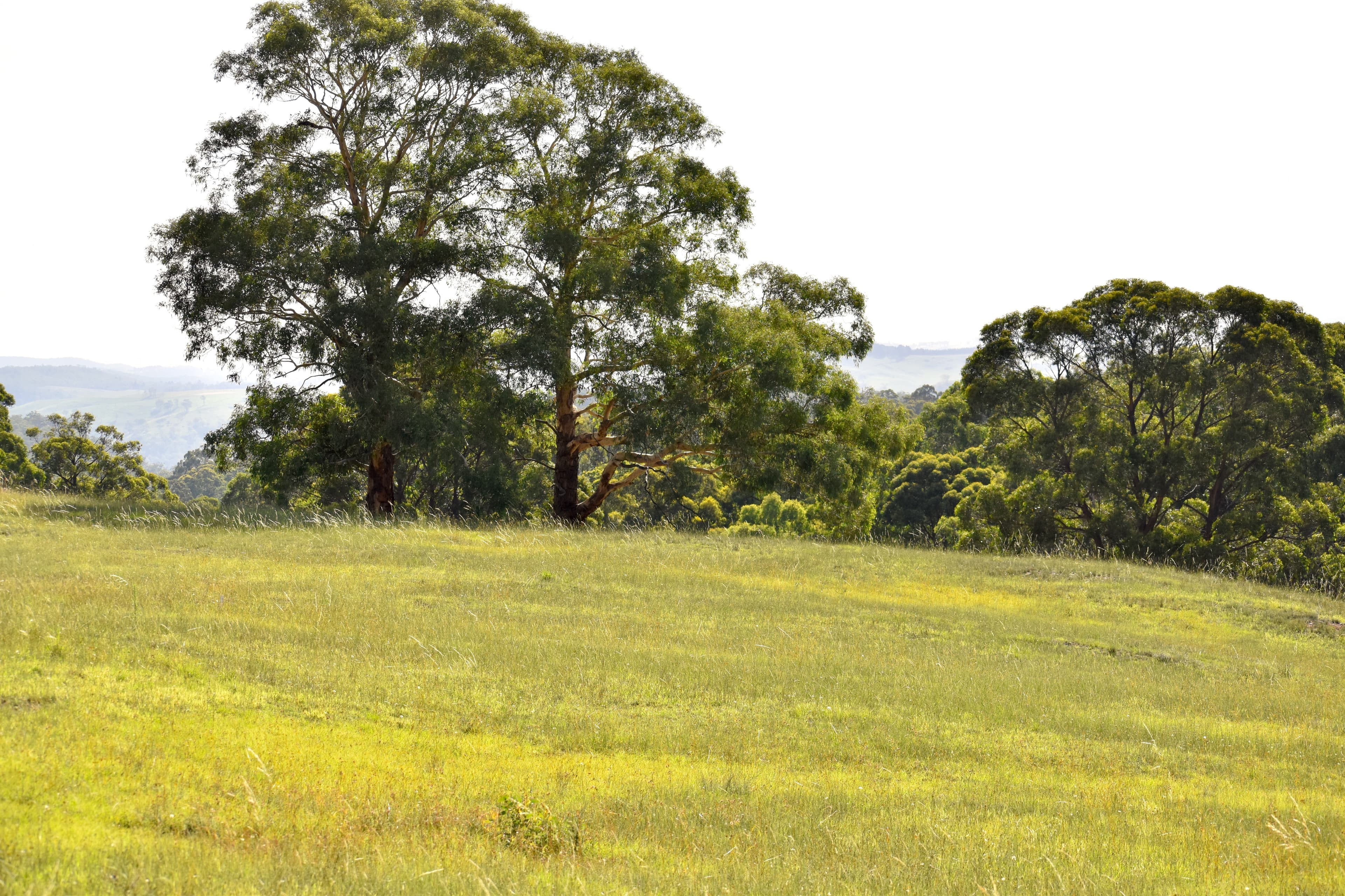Lot 109, 5 Leathem Place, Little..., Little... - Image 1