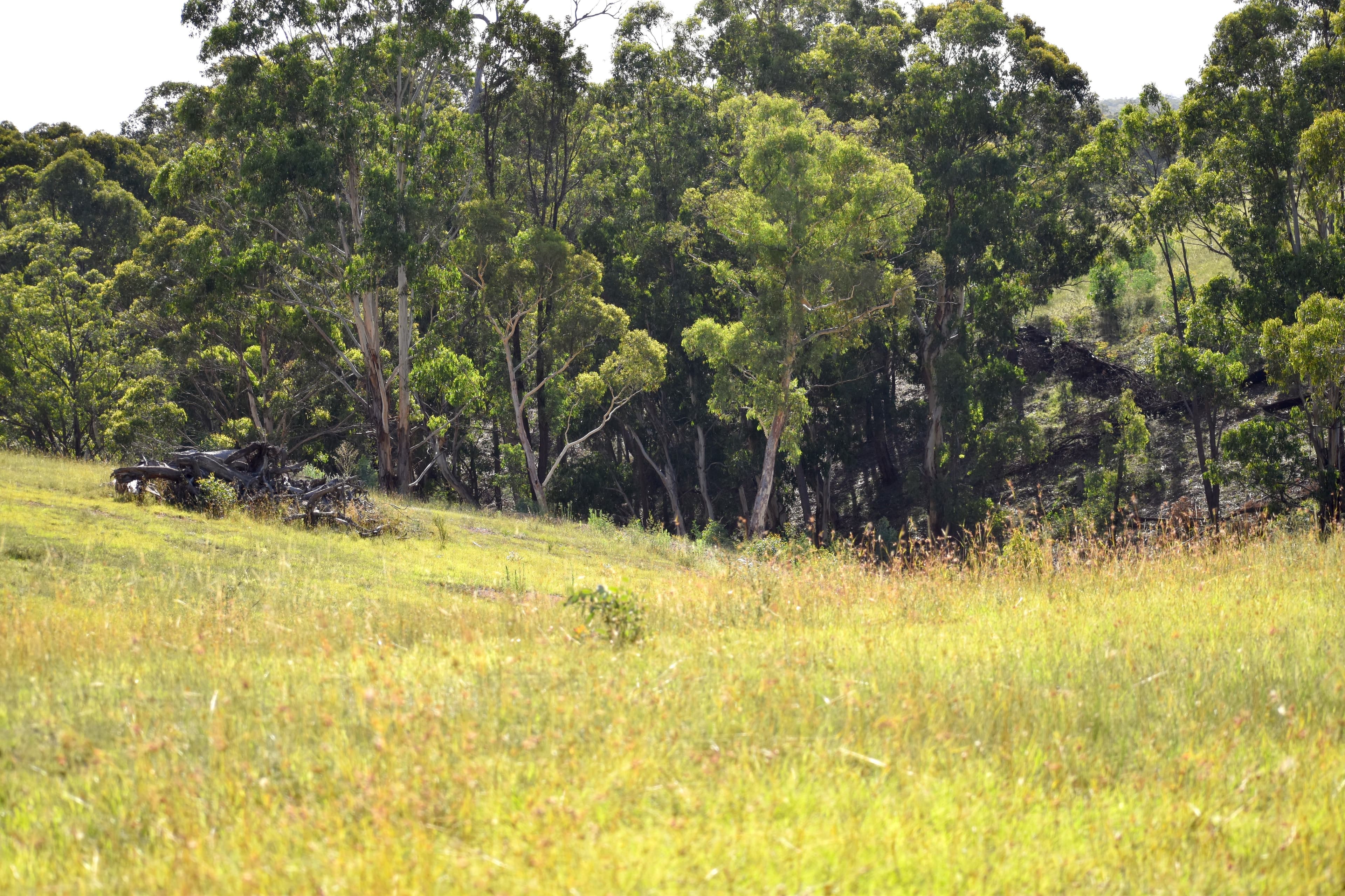 Lot 109, 5 Leathem Place, Little..., Little... - Thumbnail 2