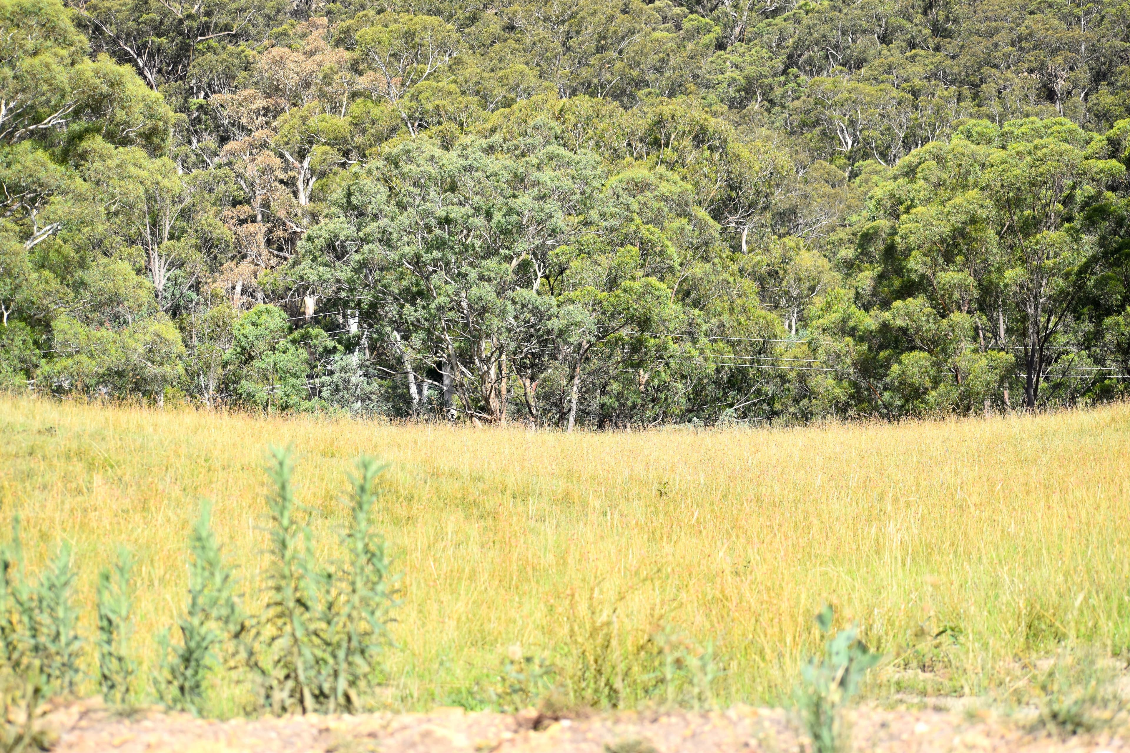 Lot 109, 5 Leathem Place, Little..., Little... - Thumbnail 3