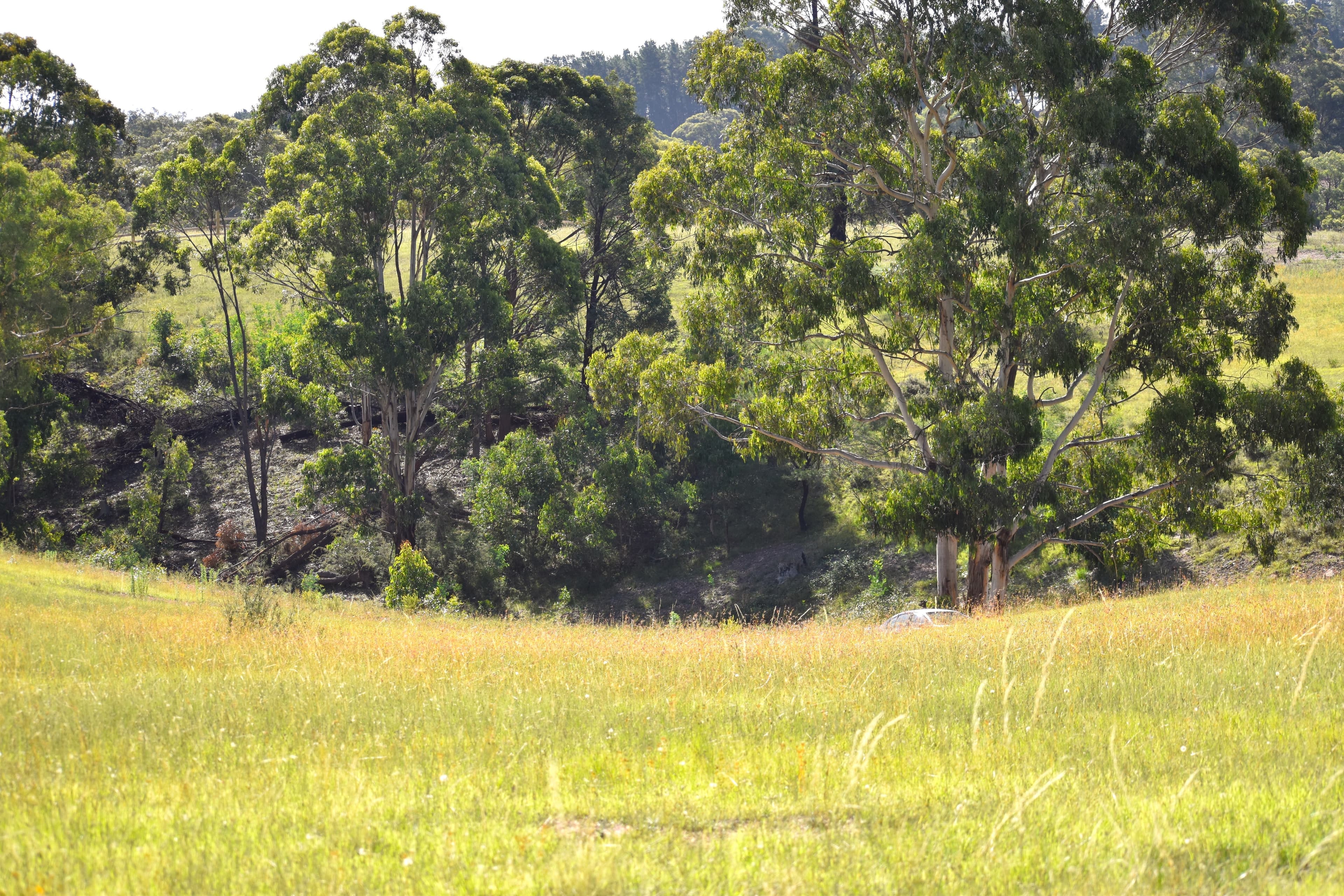 Lot 109, 5 Leathem Place, Little..., Little... - Thumbnail 4