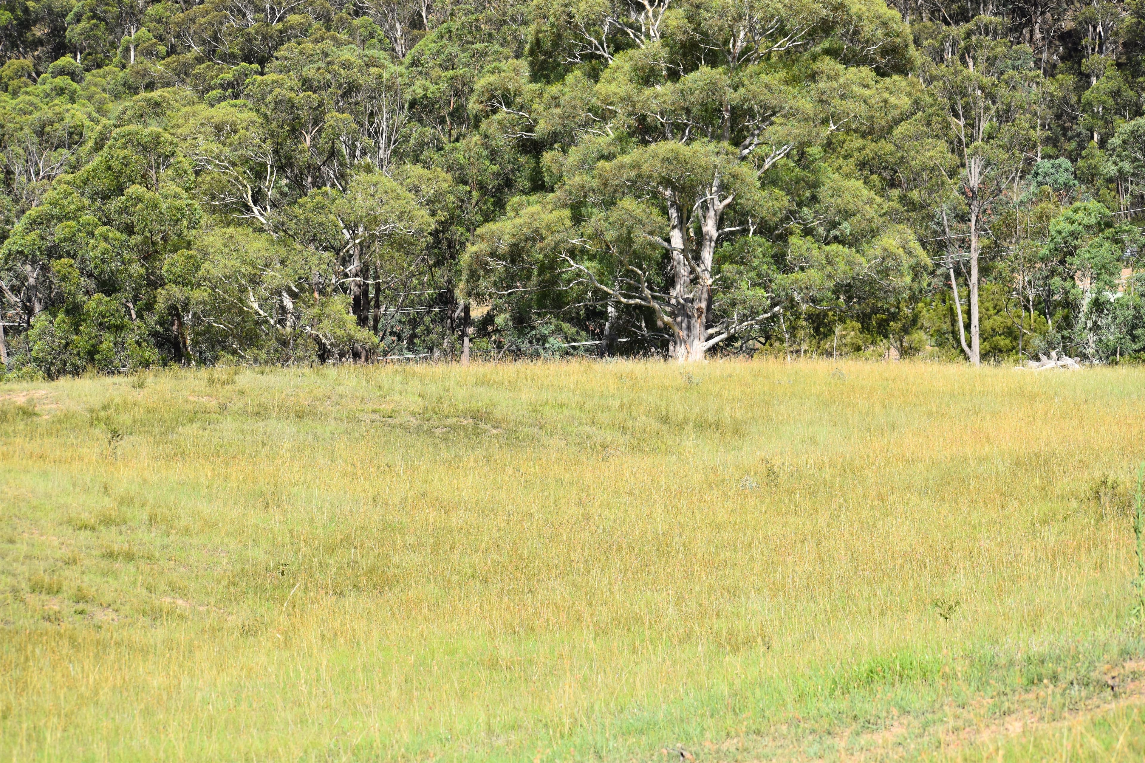 Lot 109, 5 Leathem Place, Little..., Little... - Thumbnail 7