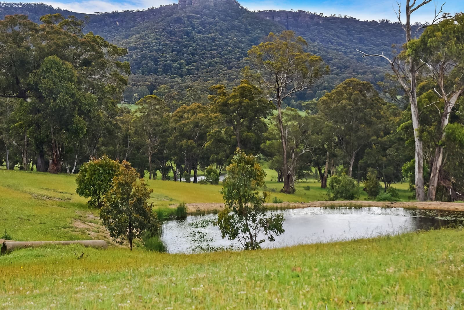 157 Blackmans Creek Road, Hartley, Hartley - Thumbnail 2