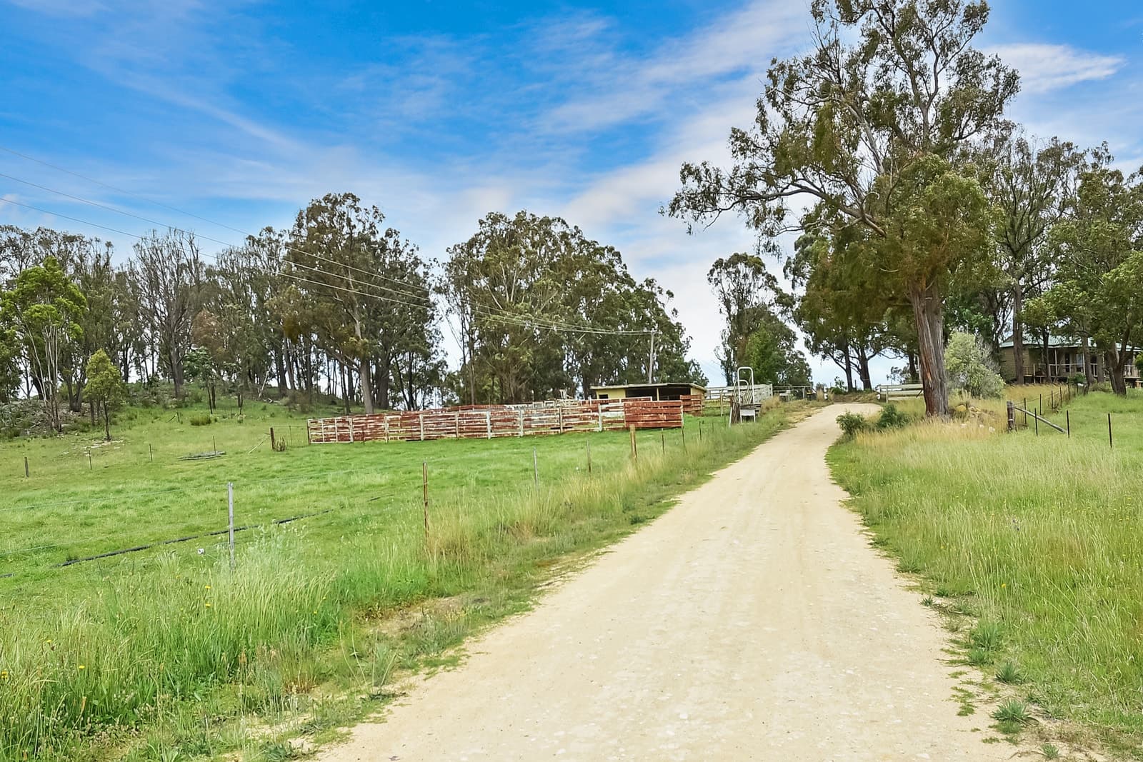157 Blackmans Creek Road, Hartley, Hartley - Thumbnail 7