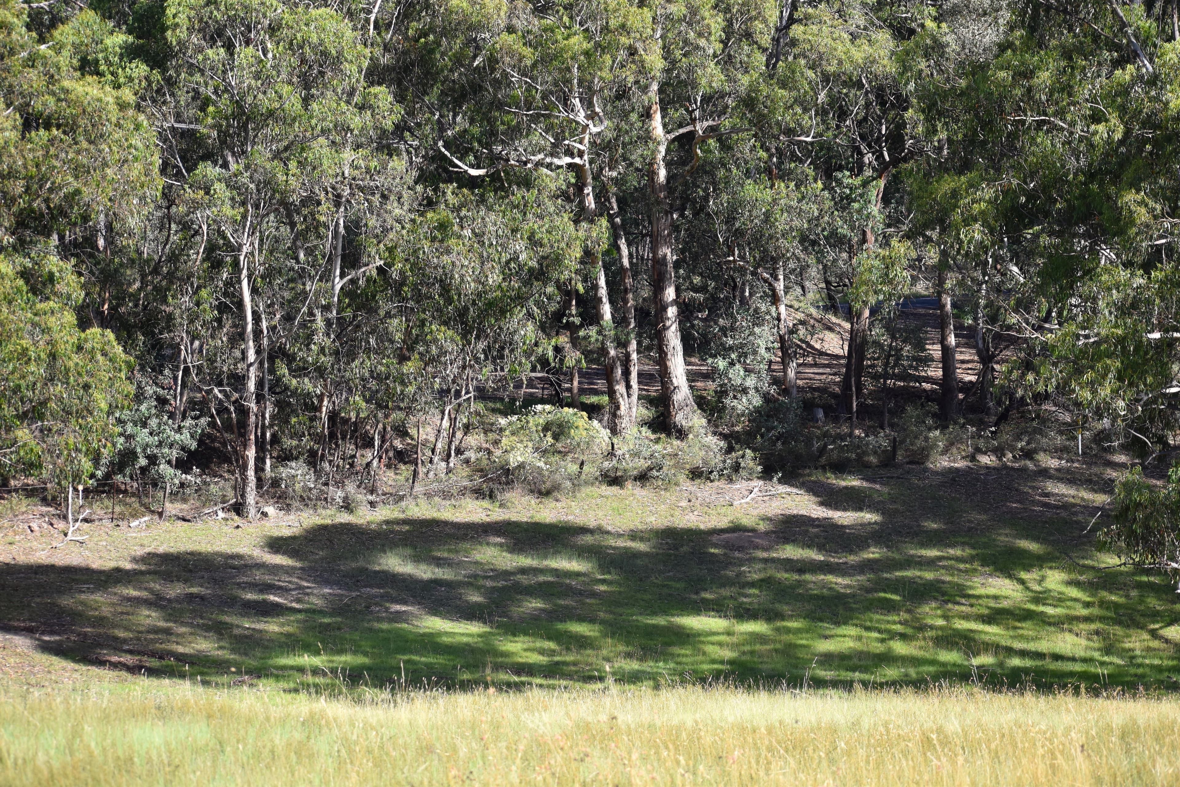 Lot 110, 9 LEATHEM PLACE, Little..., Little... - Thumbnail 3