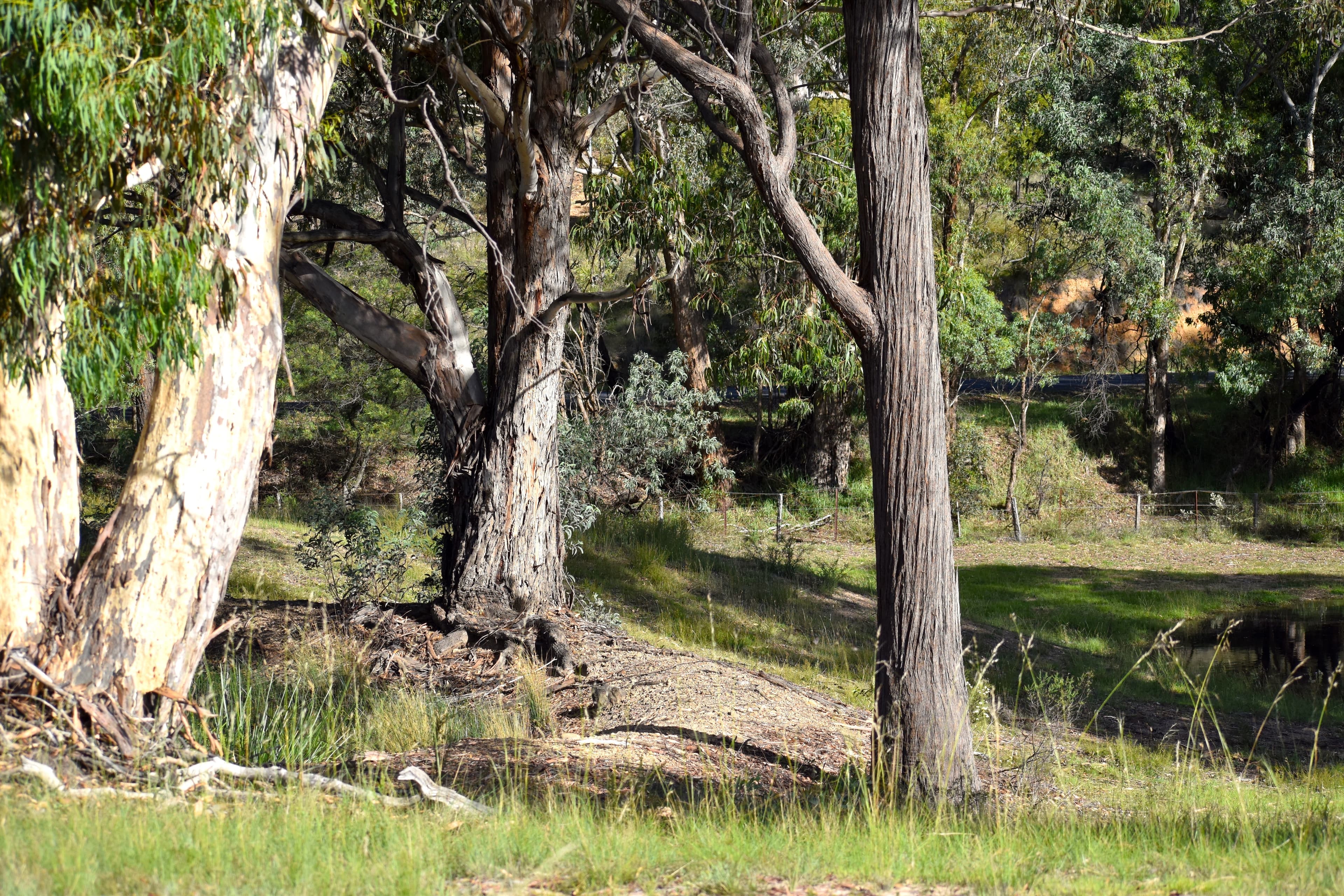 Lot 110, 9 LEATHEM PLACE, Little..., Little... - Thumbnail 4