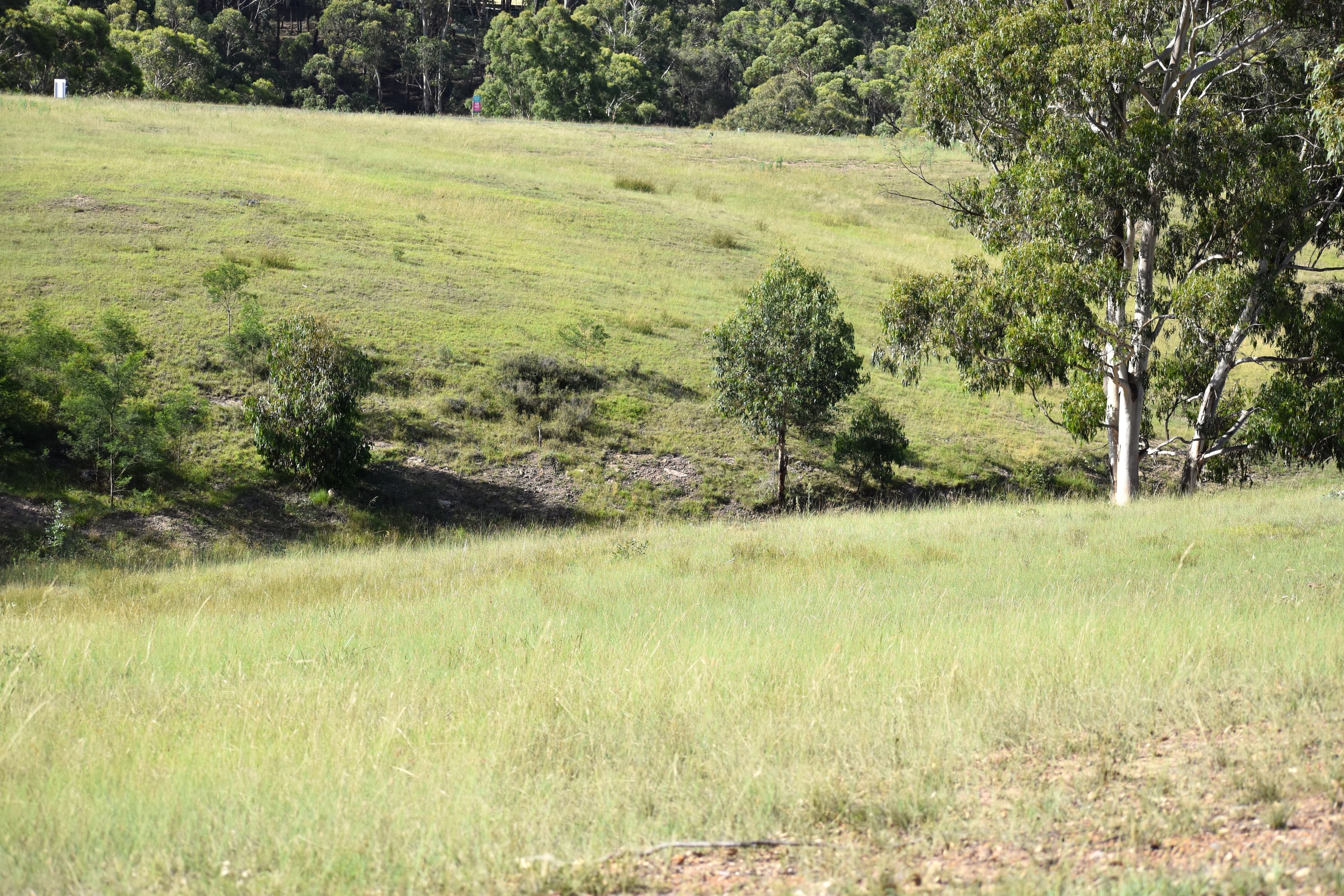 Lot 110, 9 LEATHEM PLACE, Little..., Little... - Thumbnail 6