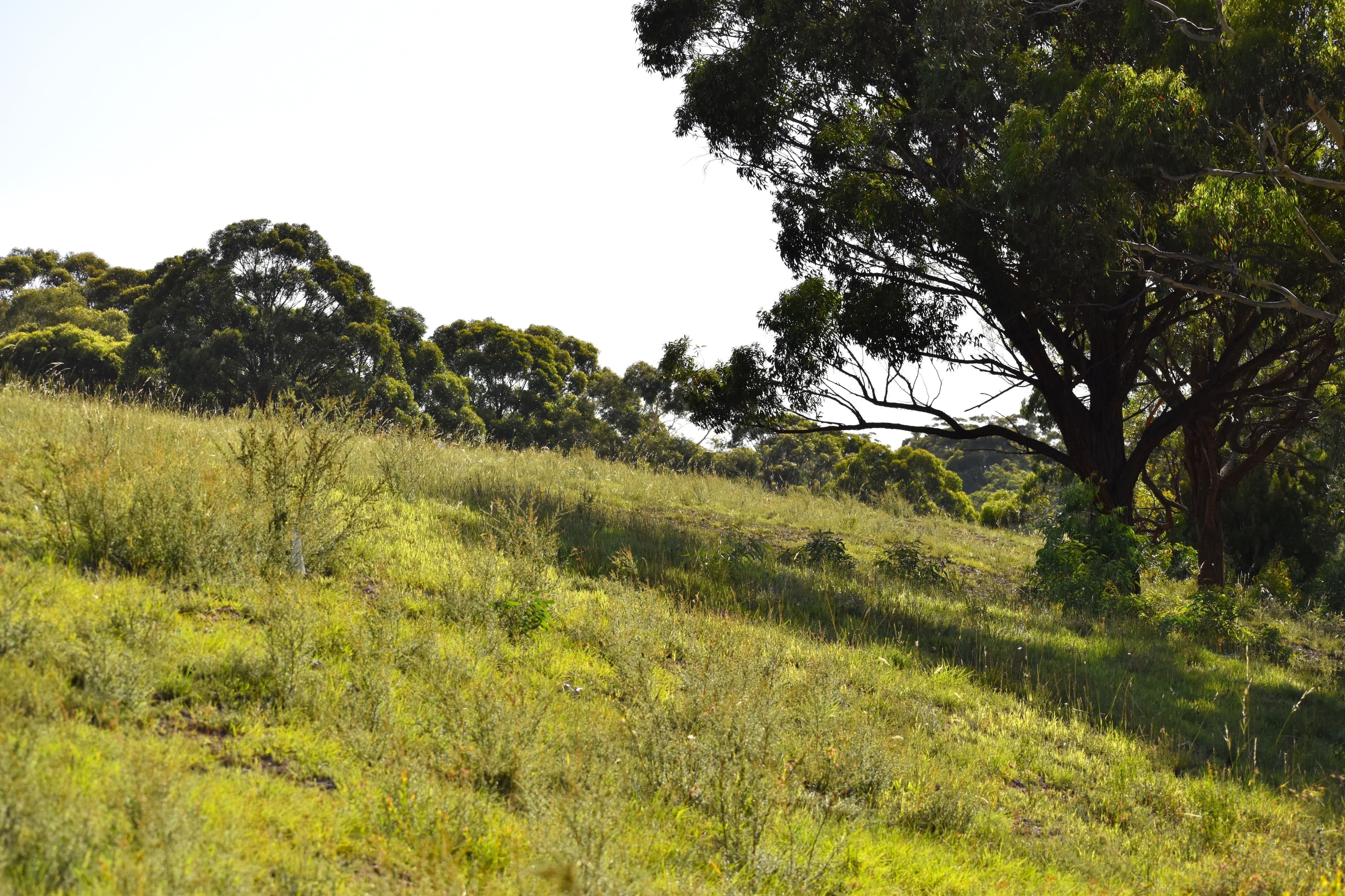 104 / 12 Parkland Close, Little Hartley, Little .. - Thumbnail 3