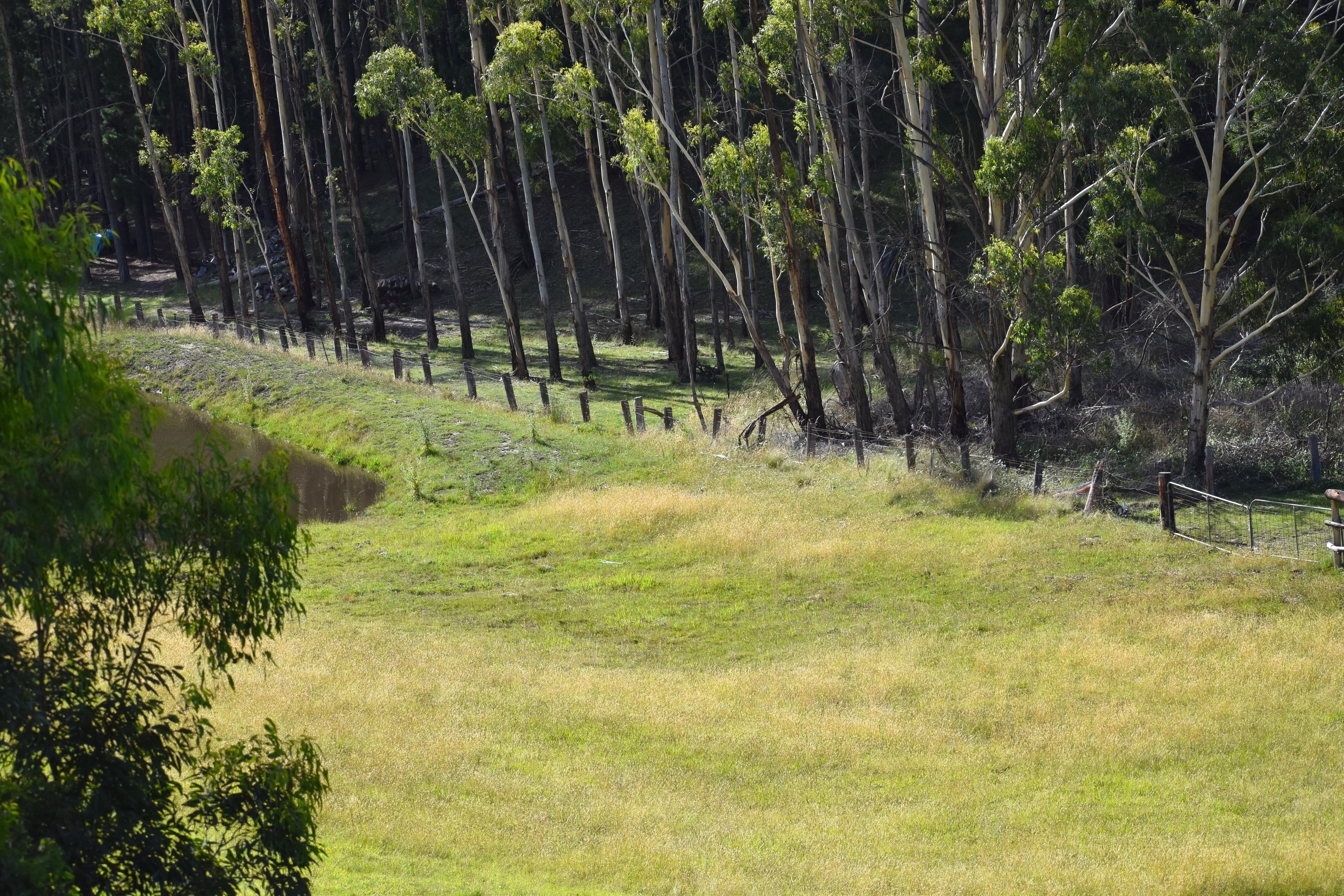 104 / 12 Parkland Close, Little Hartley, Little .. - Thumbnail 4