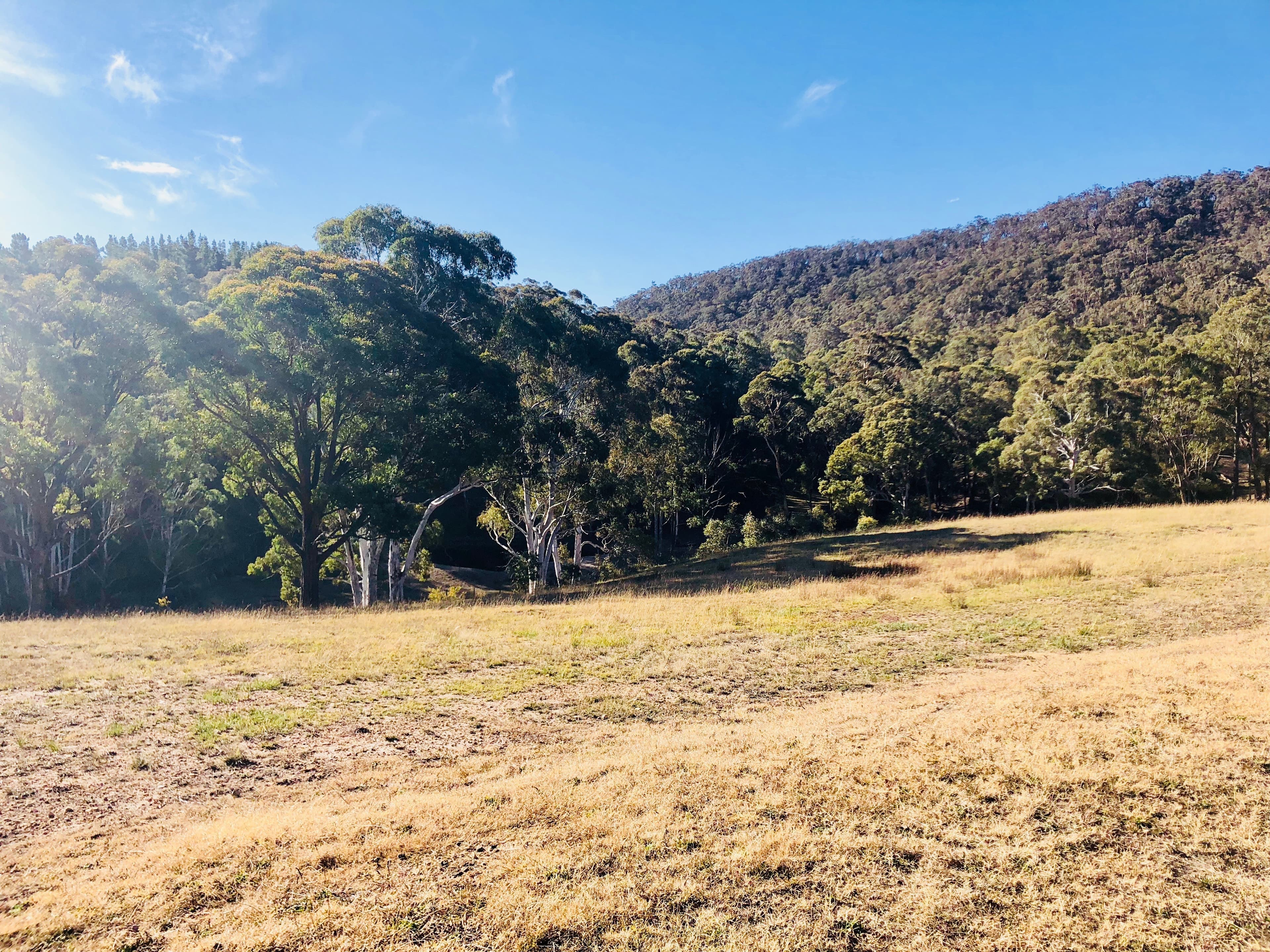 104 / 12 Parkland Close, Little Hartley, Little .. - Thumbnail 6