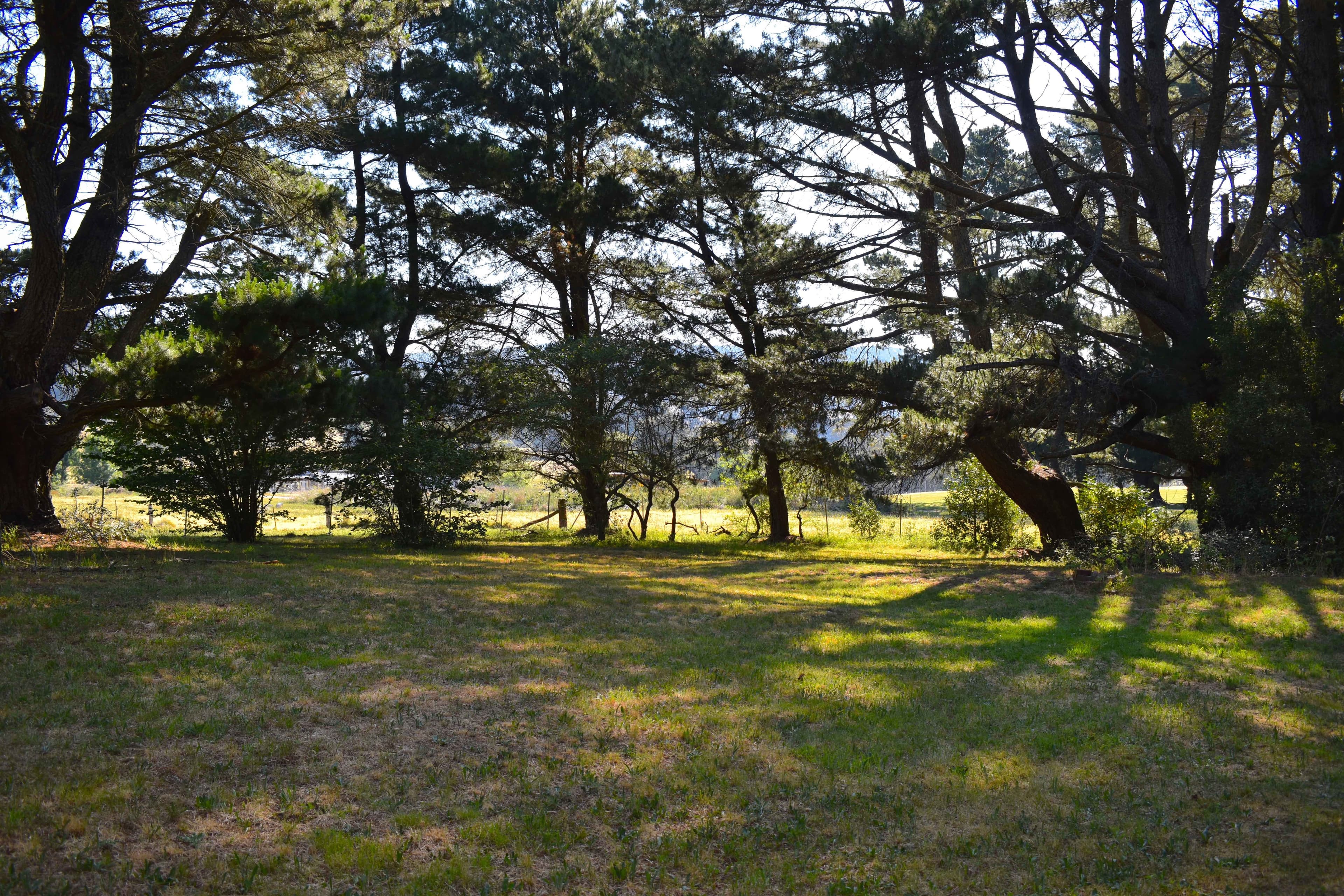 2000 Jenolan Caves Road, Hampton, Hampton - Thumbnail 2