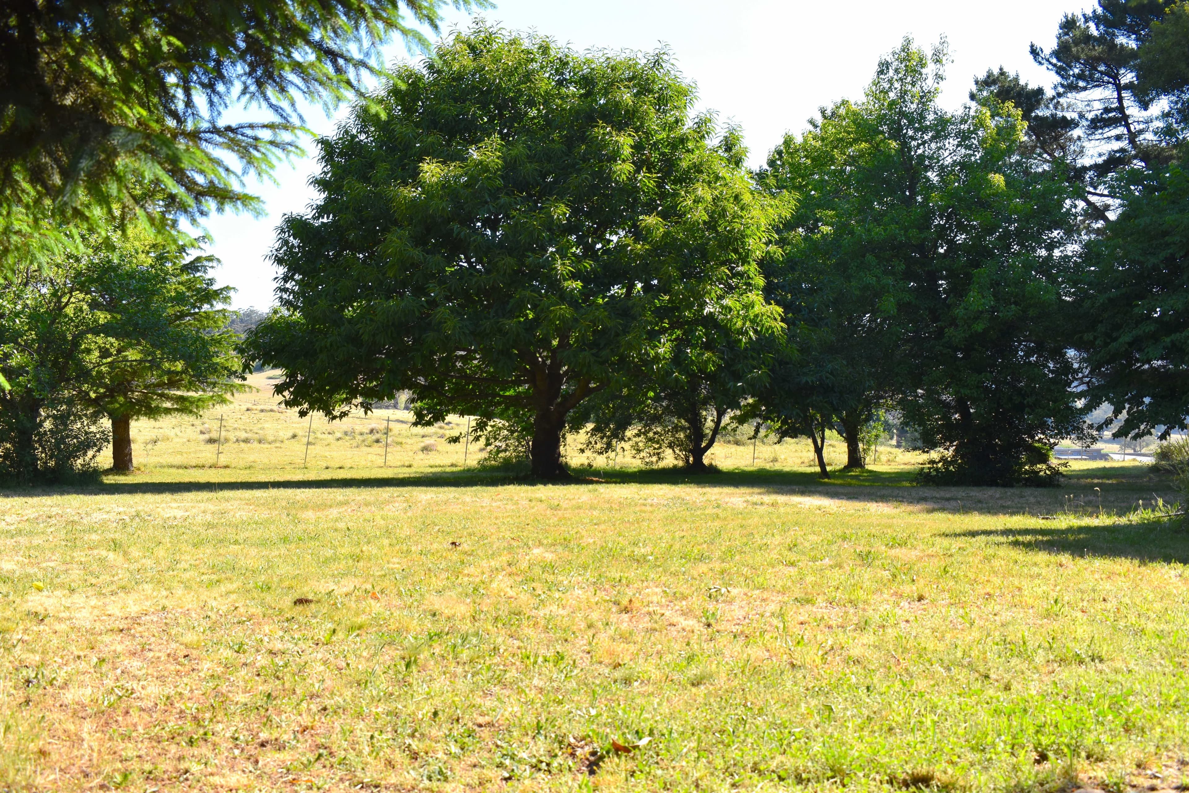 2000 Jenolan Caves Road, Hampton, Hampton - Thumbnail 4