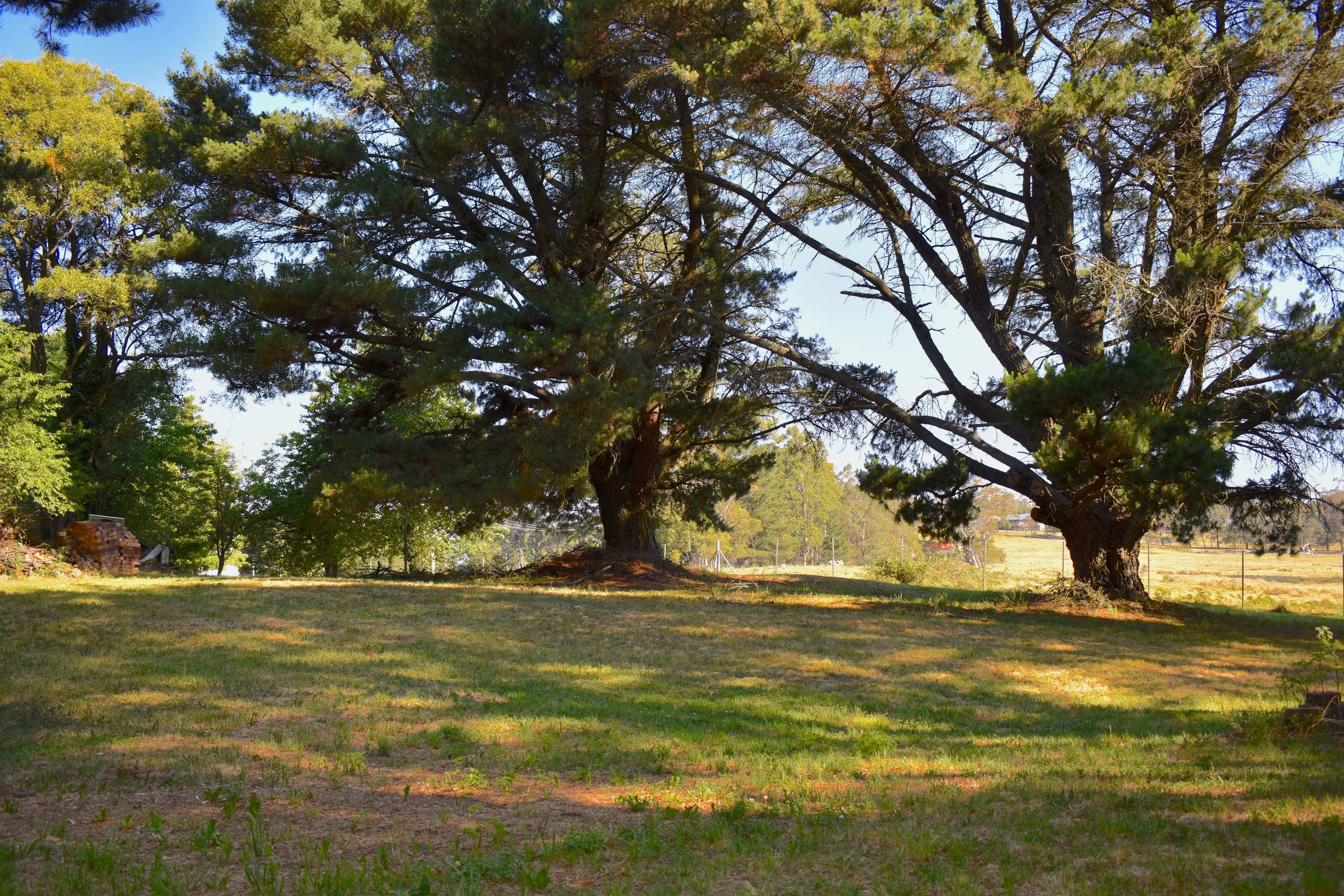 2000 Jenolan Caves Road, Hampton, Hampton - Thumbnail 6