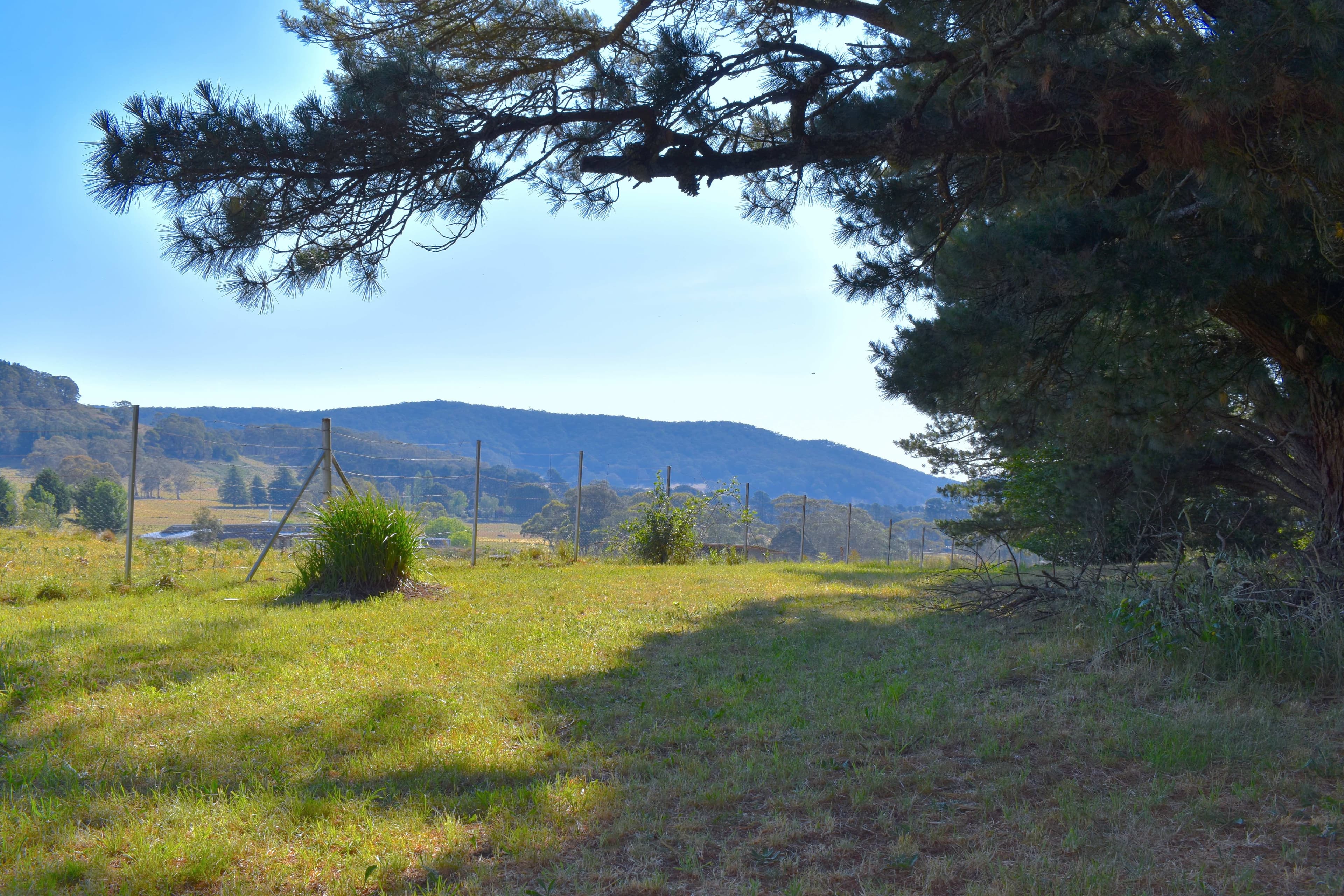 2000 Jenolan Caves Road, Hampton, Hampton - Thumbnail 7