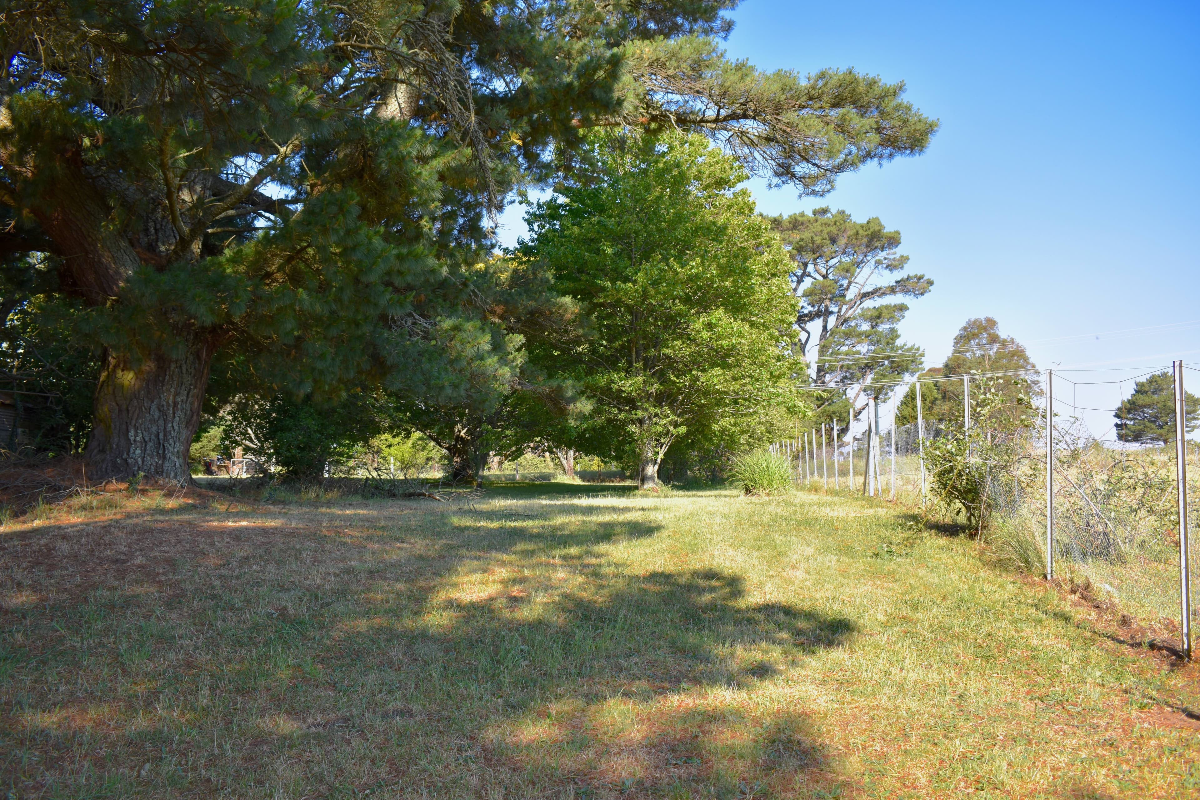 2000 Jenolan Caves Road, Hampton, Hampton - Thumbnail 8
