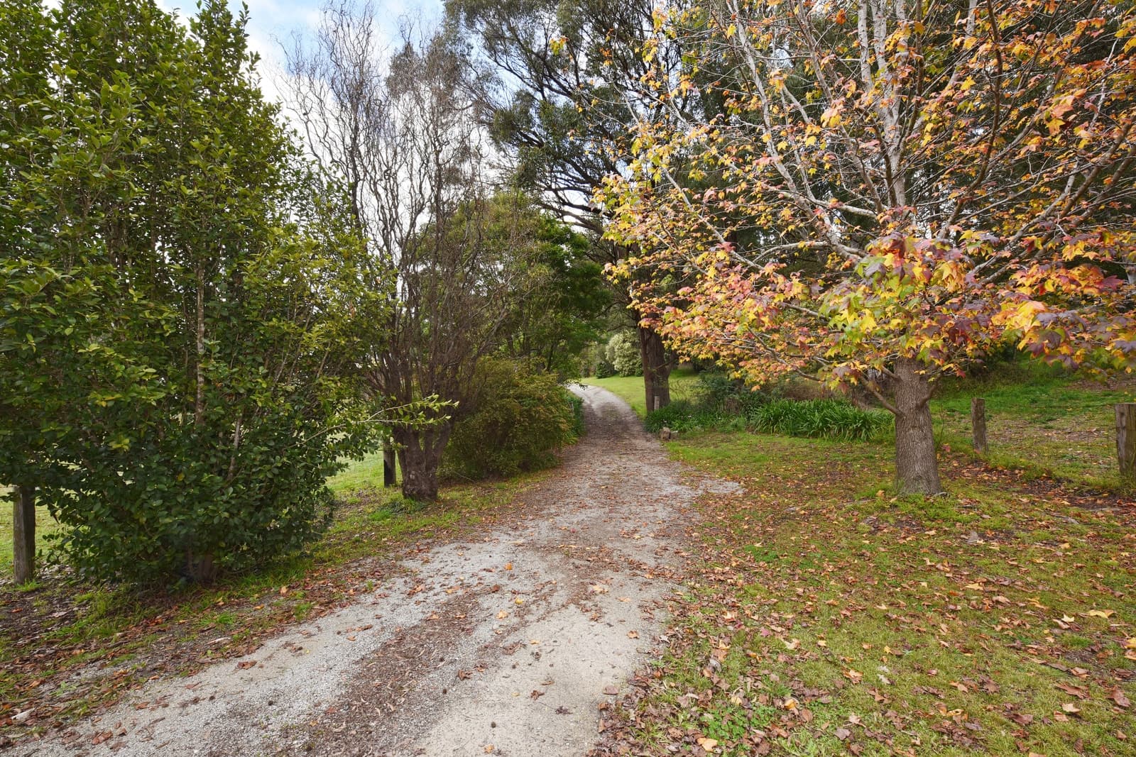 112 Coxs River Road, Little Hartley, Little Hartley - Thumbnail 5