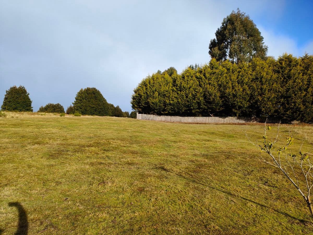 15 Duncanson, Waratah, Waratah - Thumbnail 2